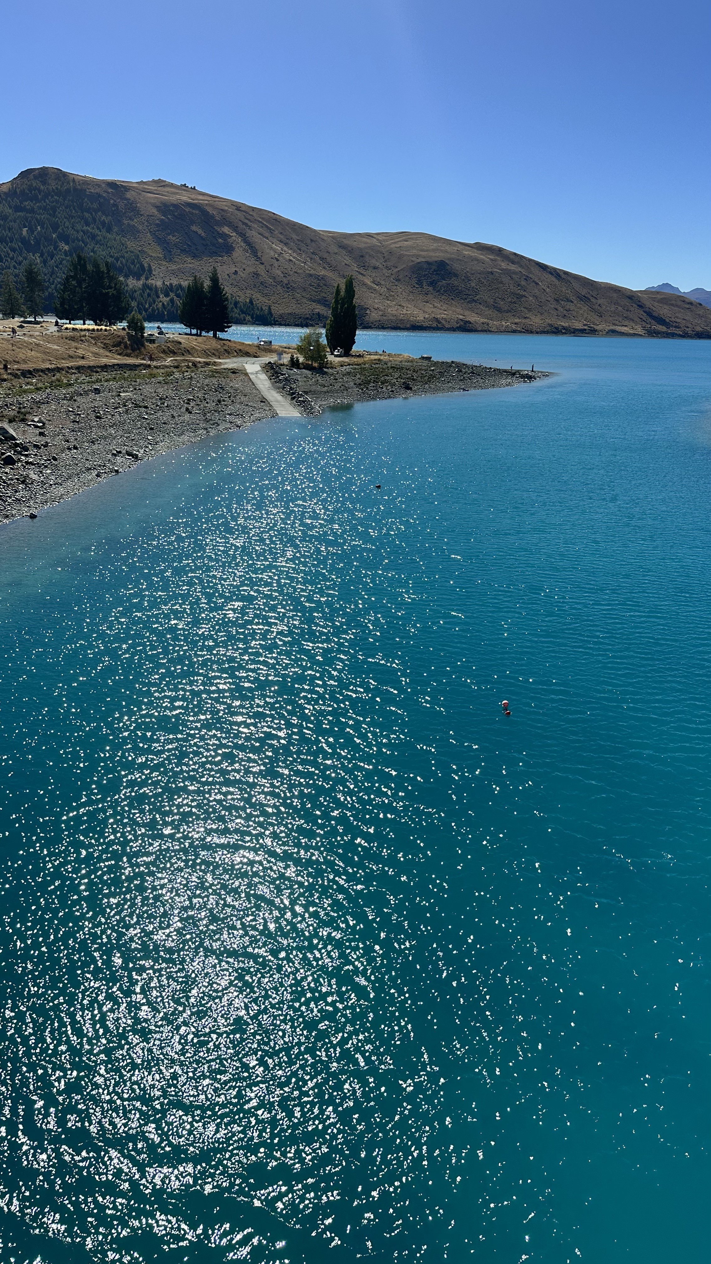 IMG_3250.jpeg