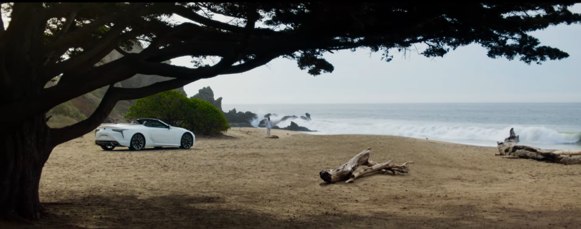 Reaching+a+Higher+Standard+_+Lexus+%288%29.png