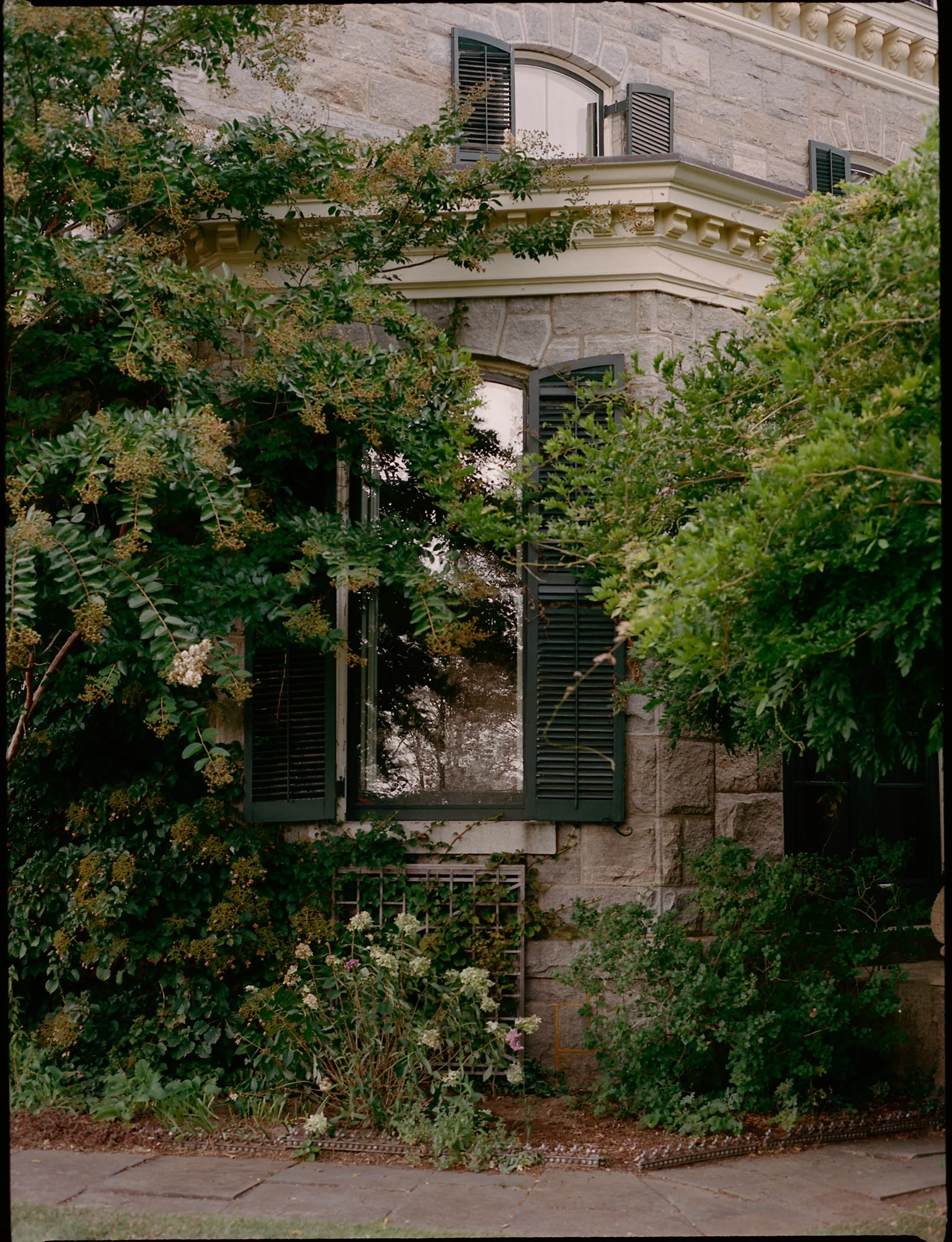 M+W-6.jpg