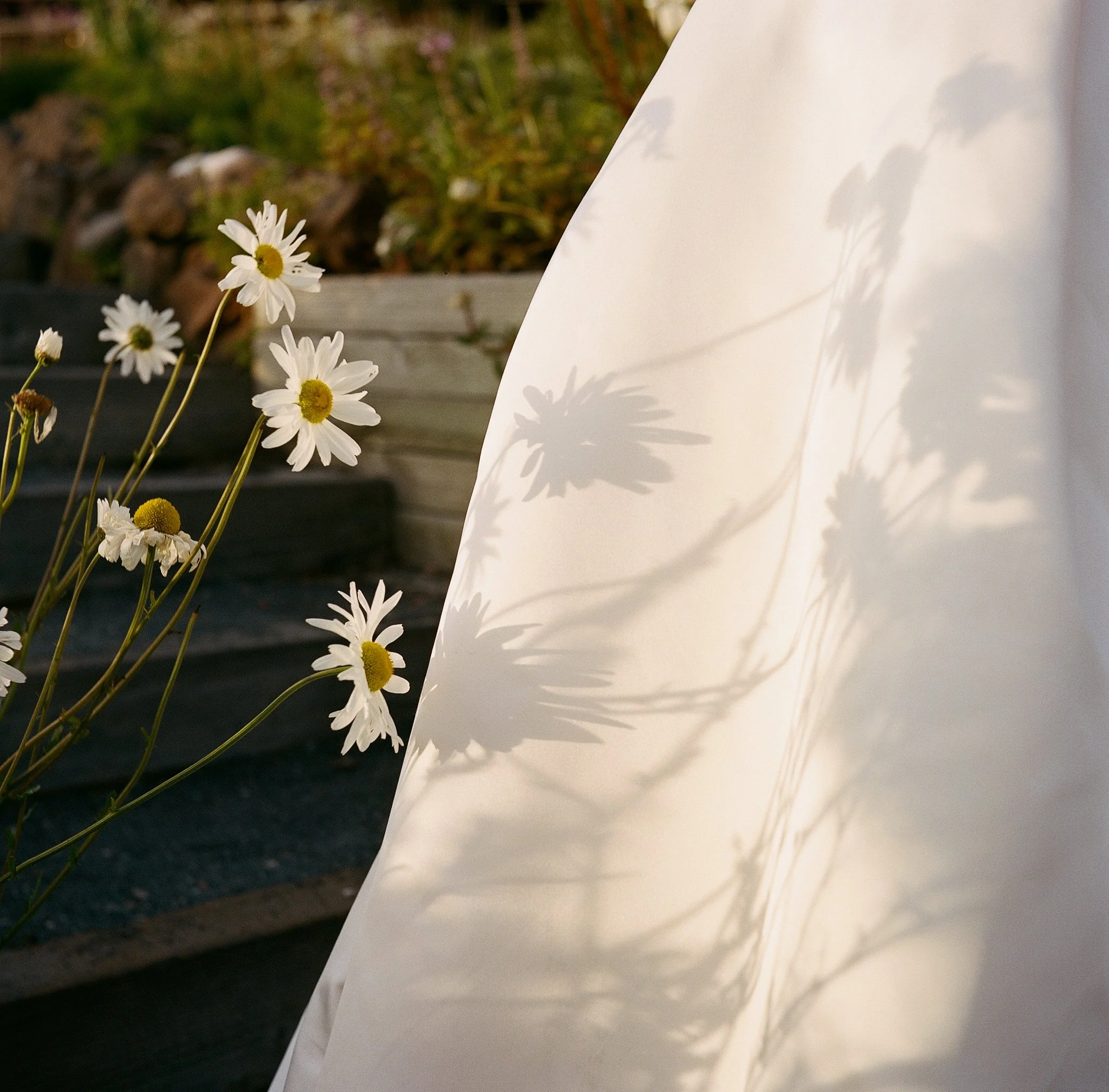 harbor house inn | Cassie & Kevin