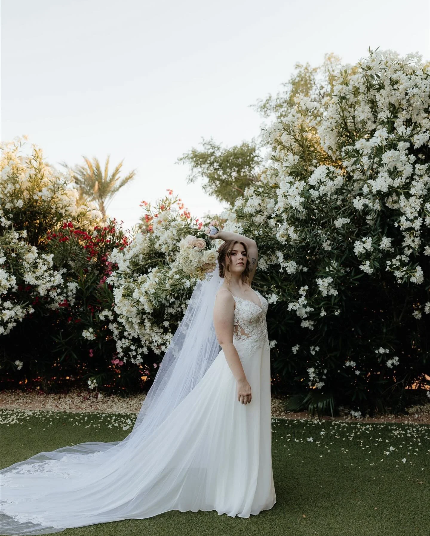 can&rsquo;t get over this bridal session I&rsquo;m so sorry 🤤
&bull;
&bull;
&bull;
&bull;
&bull;
&bull;
&bull;
&bull;
&bull;
#cabocontent #cabocontentcreator #cabowedding #caboweddings #caboweddingcontentcreator #weddingcontentcreator #cabobeachwedd