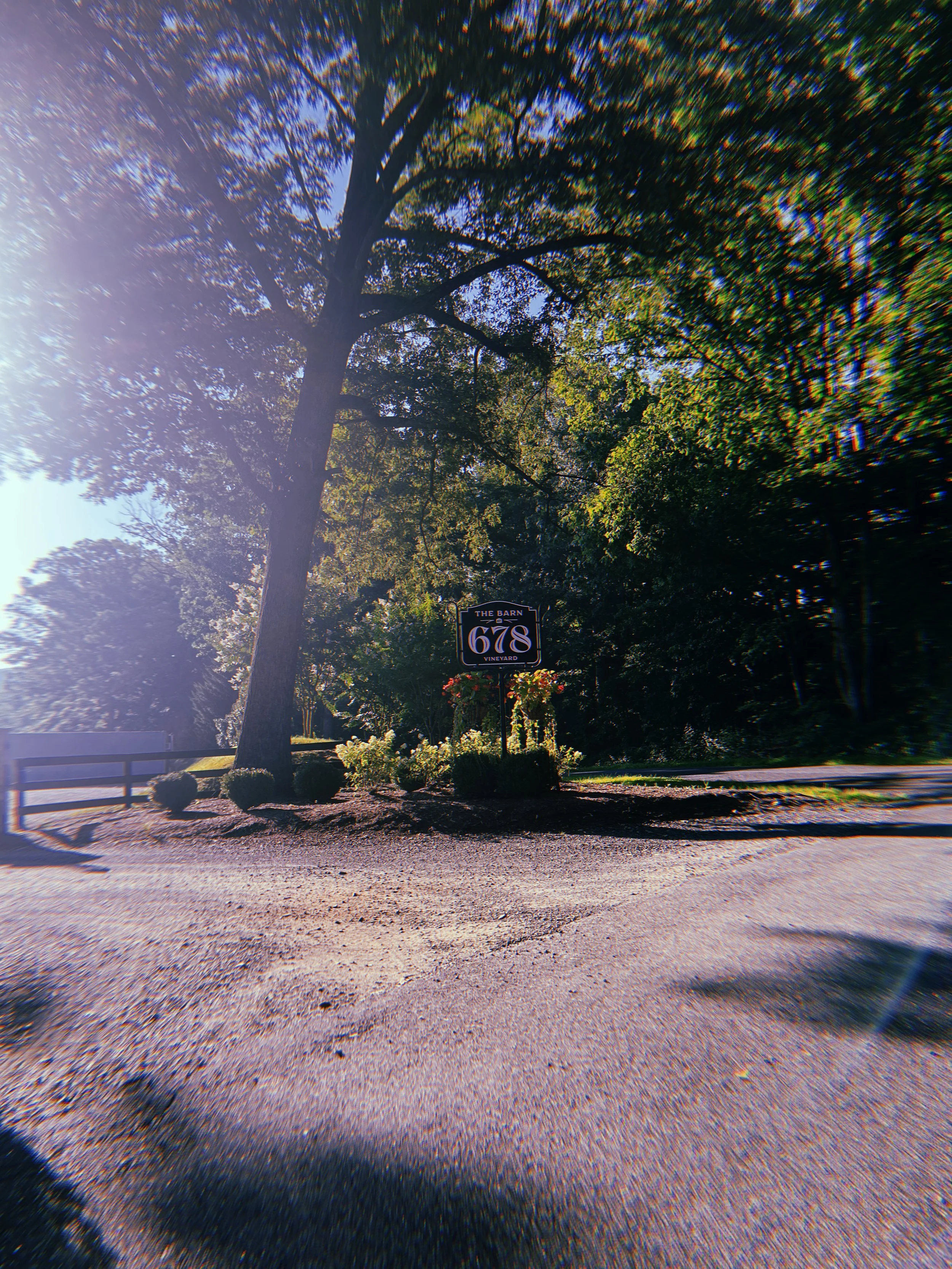 2023-08-12 08:12:29.876.JPG