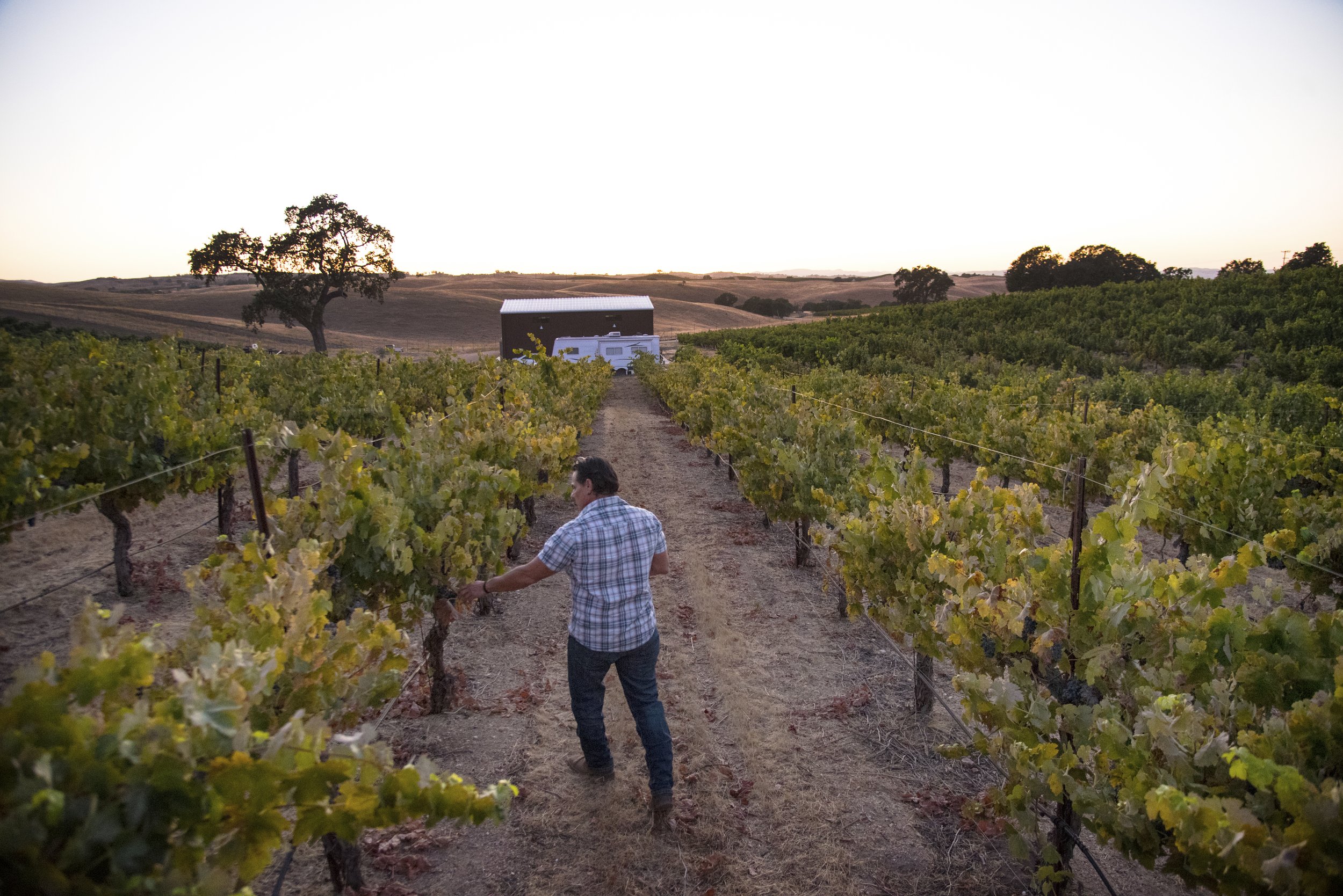 PIERINI WINERY 5 - PASO ROBLES, CA.jpg