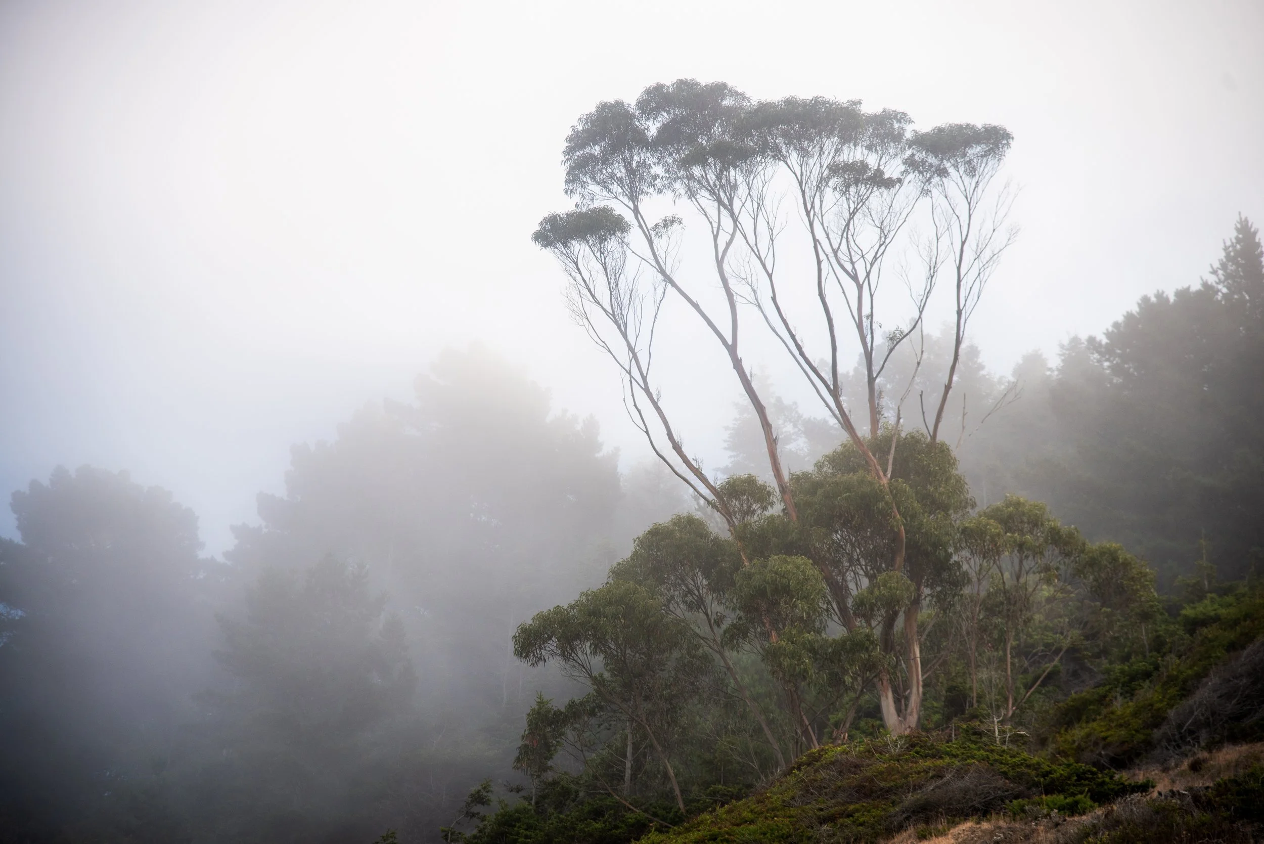 Northern California.jpg