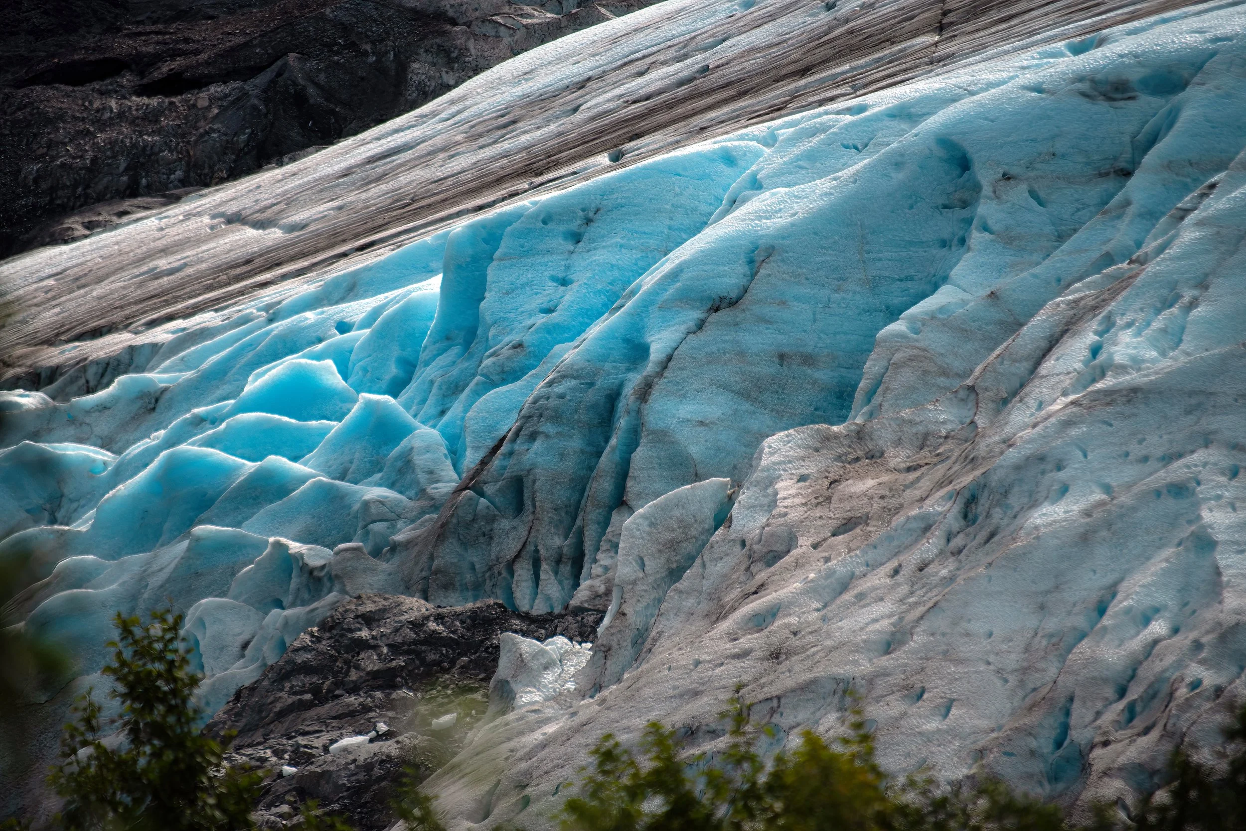 DSC_1048 copy-SharpenAI-Focus.jpg