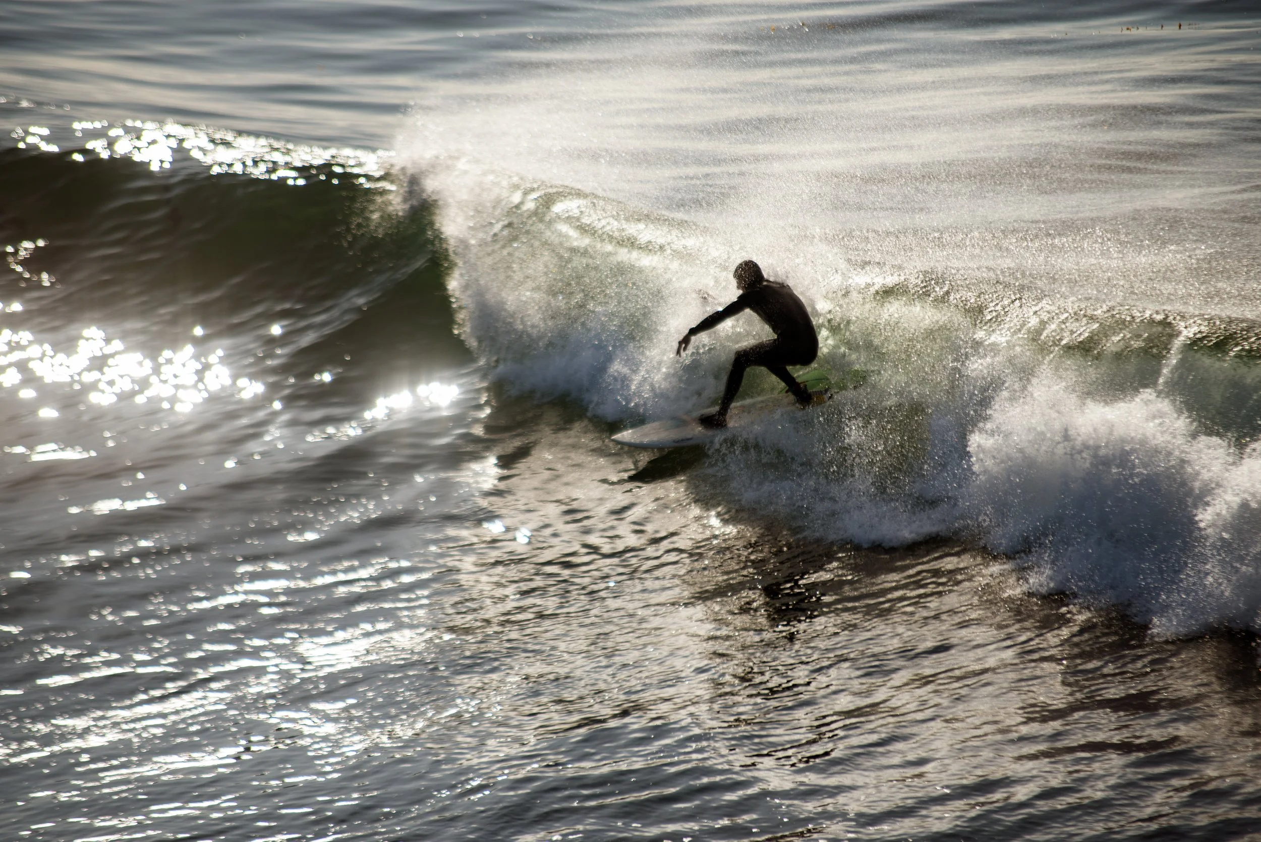 DSC_2758 copy.jpg