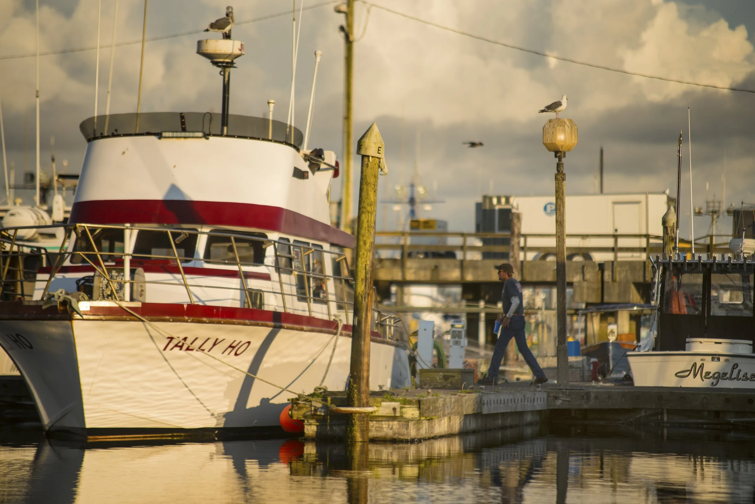 MARINA 5 - WESTPORT, WA.jpg