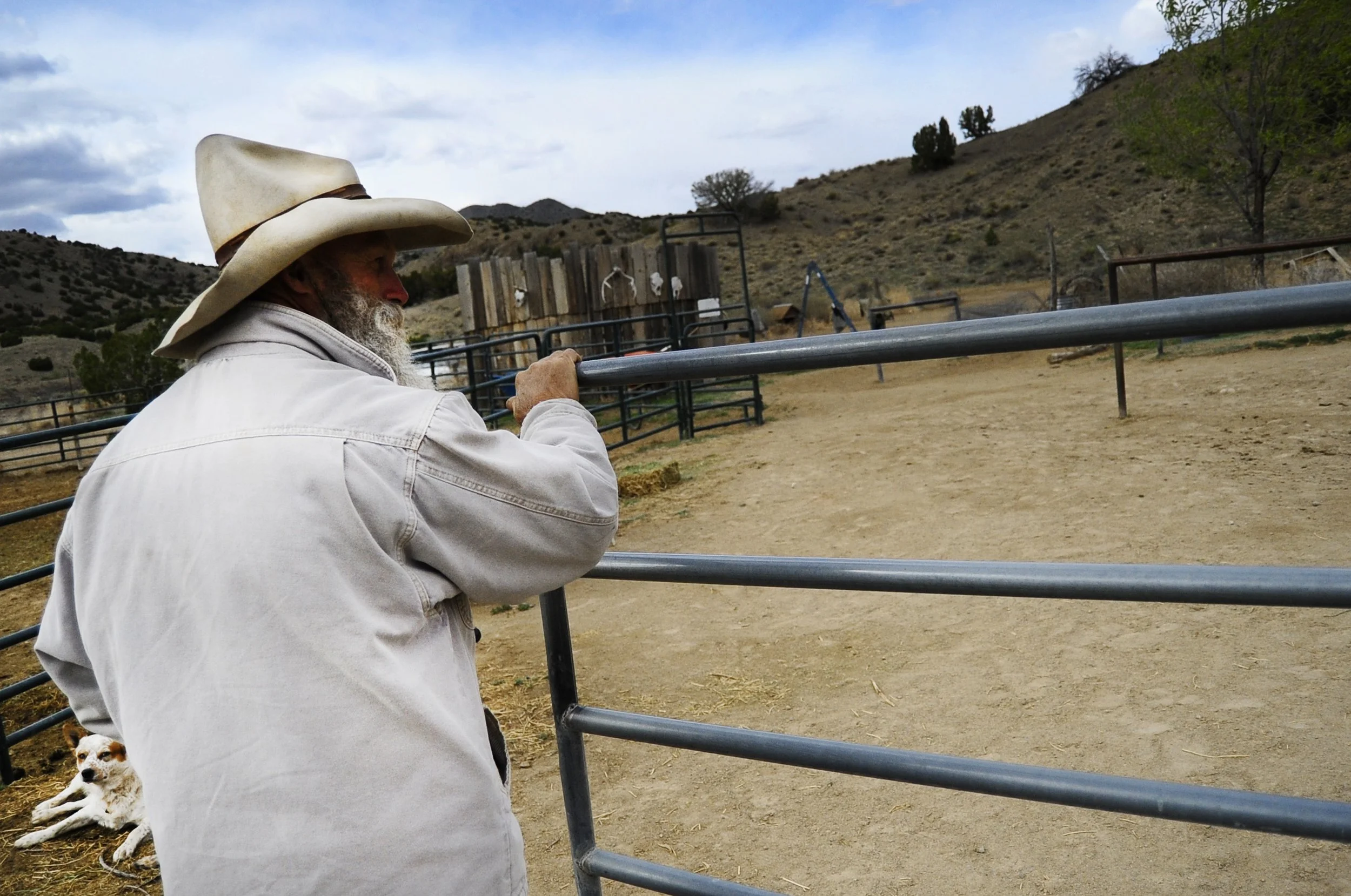 Morning on the Ranch.jpg