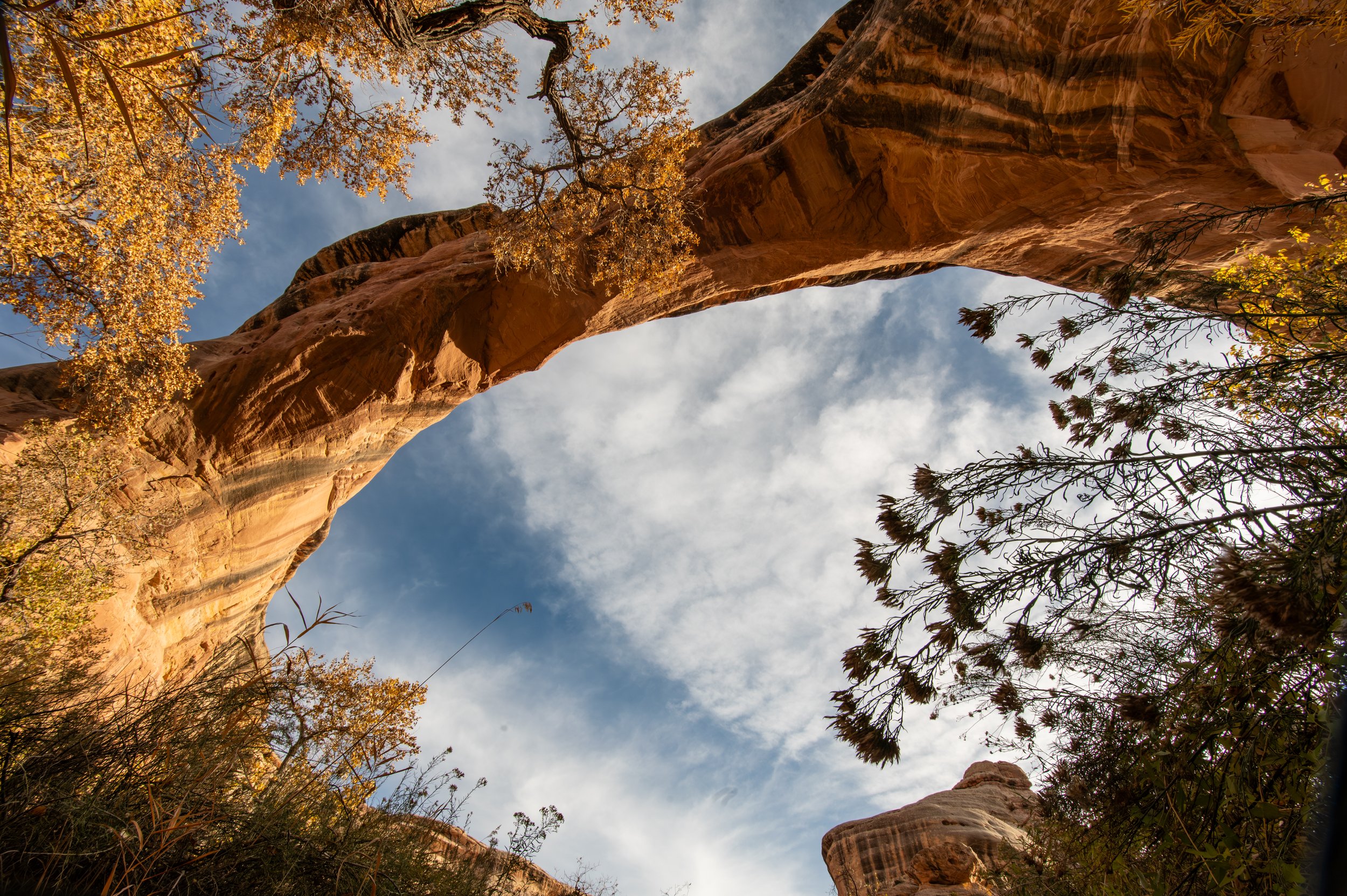 Natural Bridges National Monument.jpg