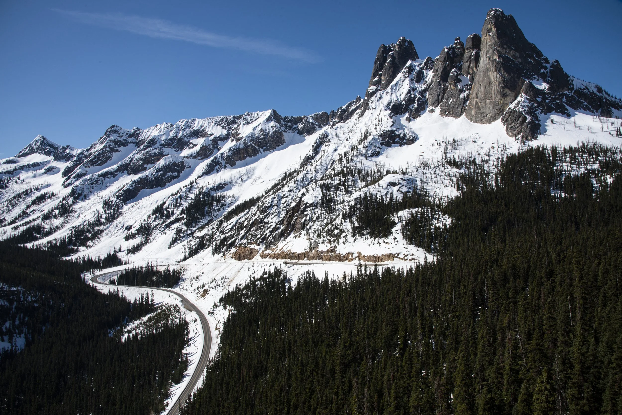 DSC_8665.jpg