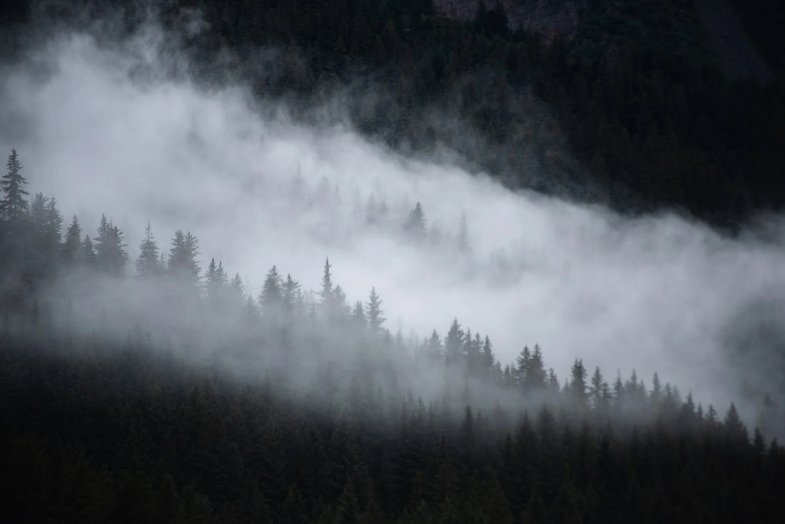 Kenai Peninsula.jpg