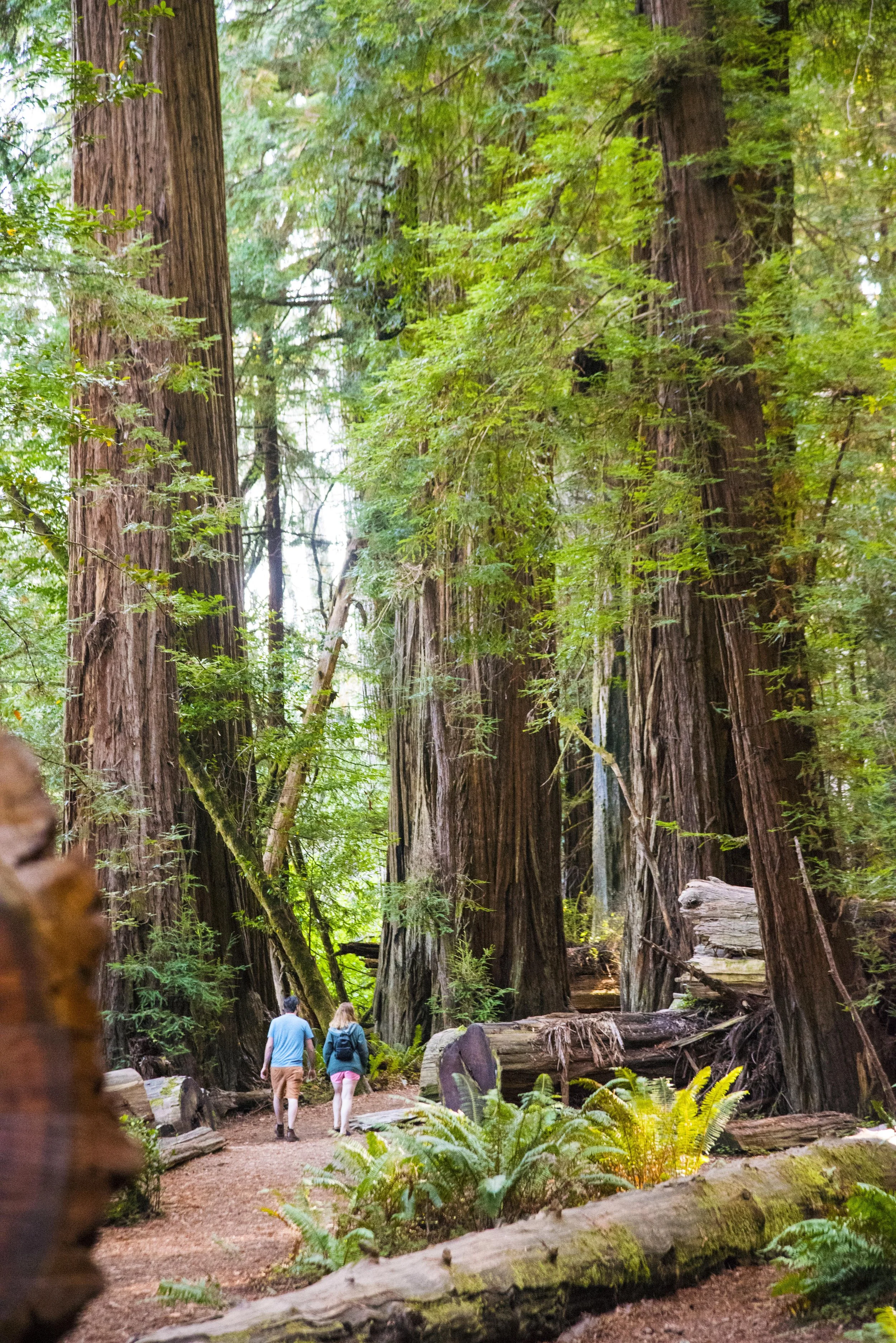 JEDEDIAH PARK 11 - CA copy.jpg