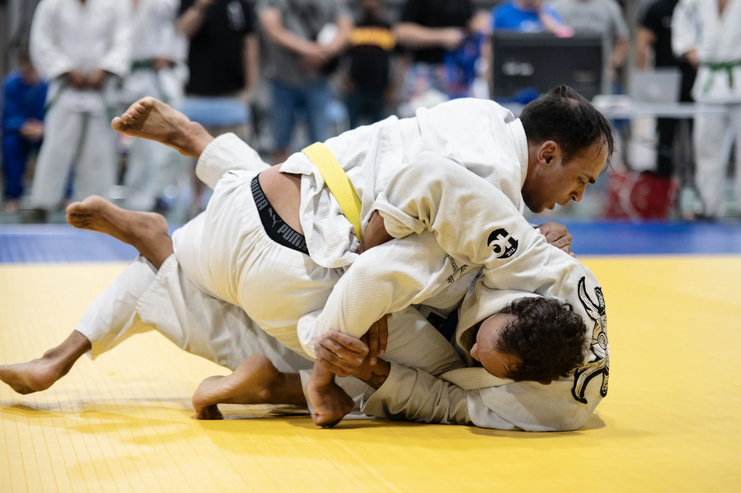 Judo-2.jpg