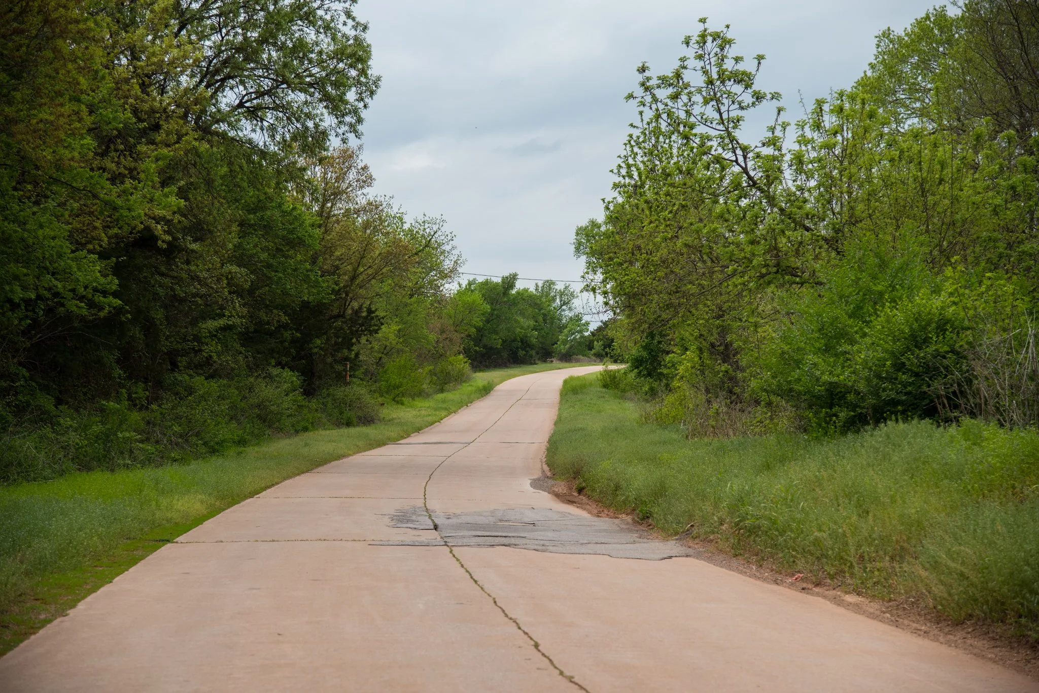 DSC_4772.jpg