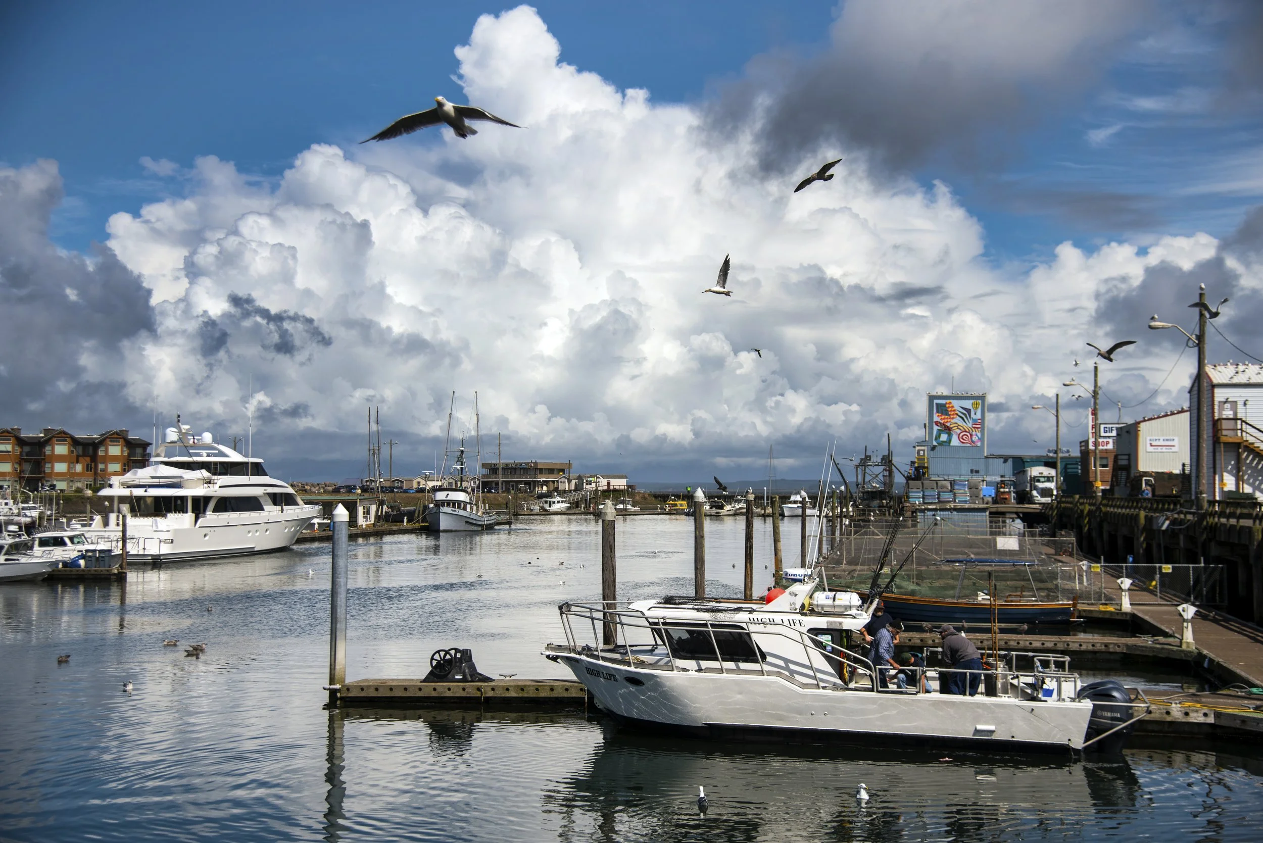 MARINA 4 - WESTPORT, WA.jpg