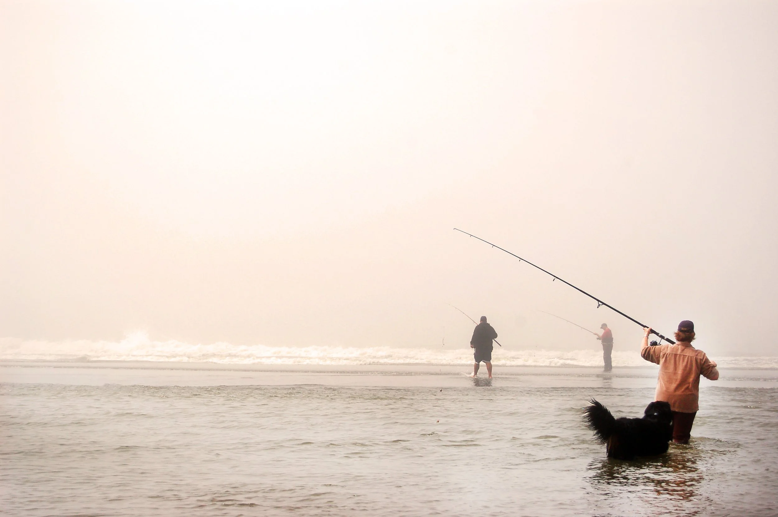 Washington State.jpg