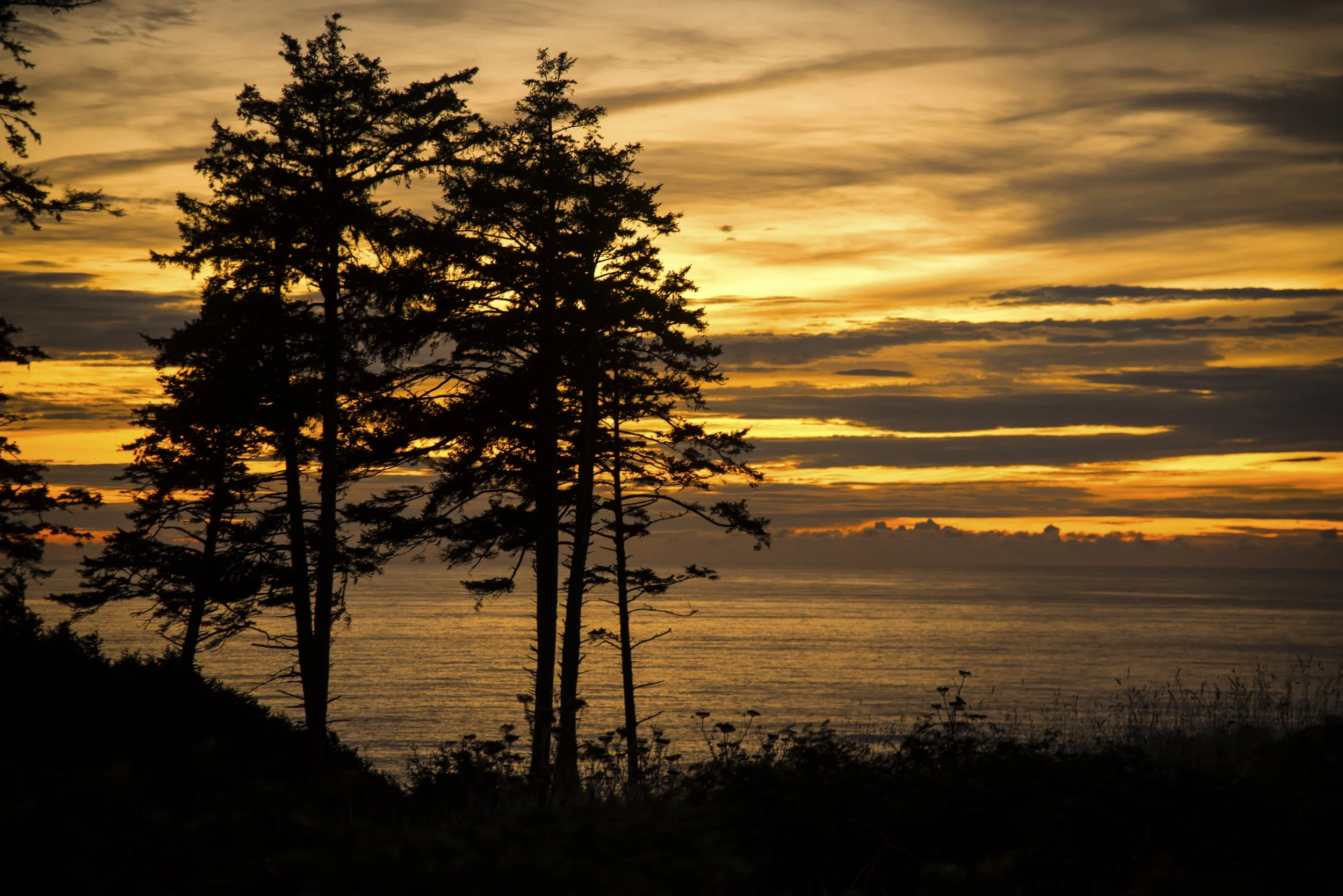 ECOLA STATE PARK 5 - OR.jpg