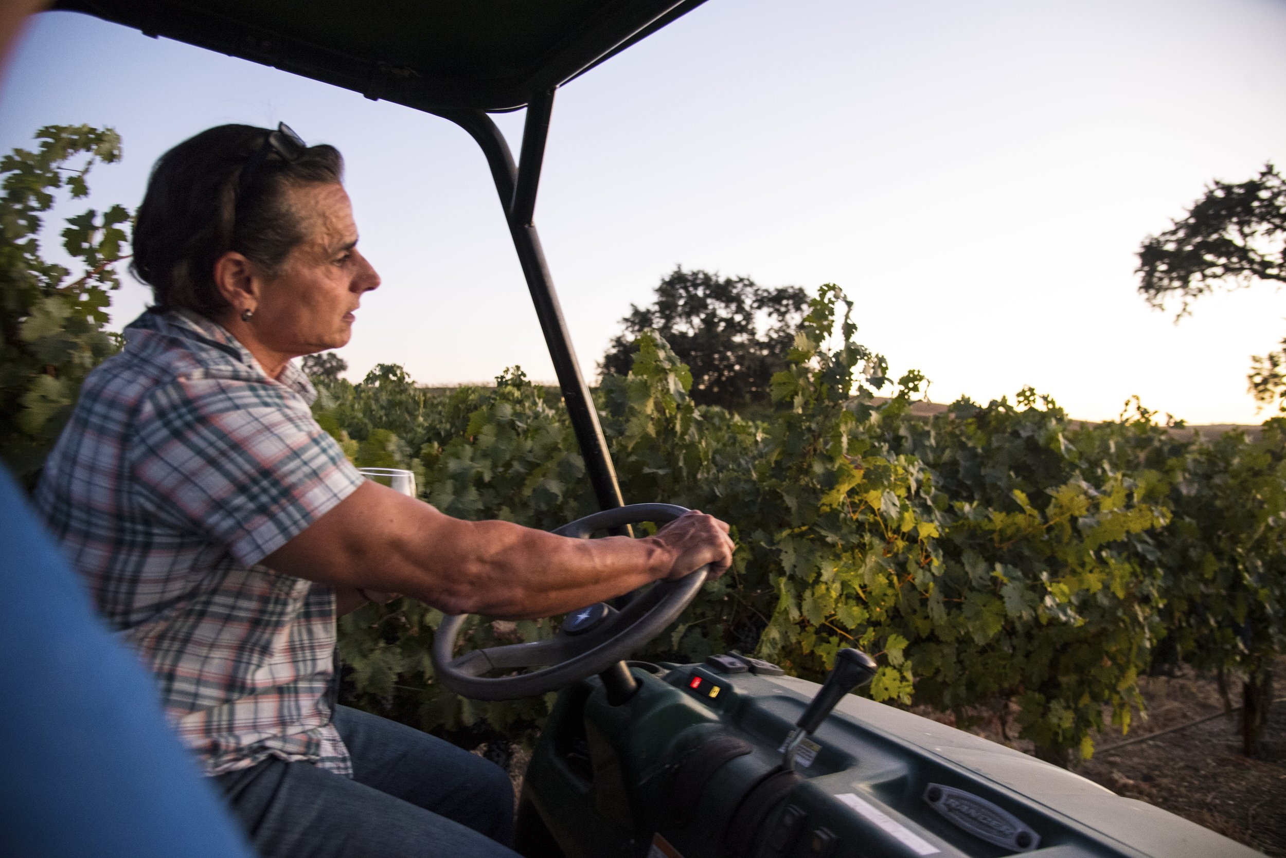 PIERINI WINERY 3 - PASO ROBLES, CA.jpg