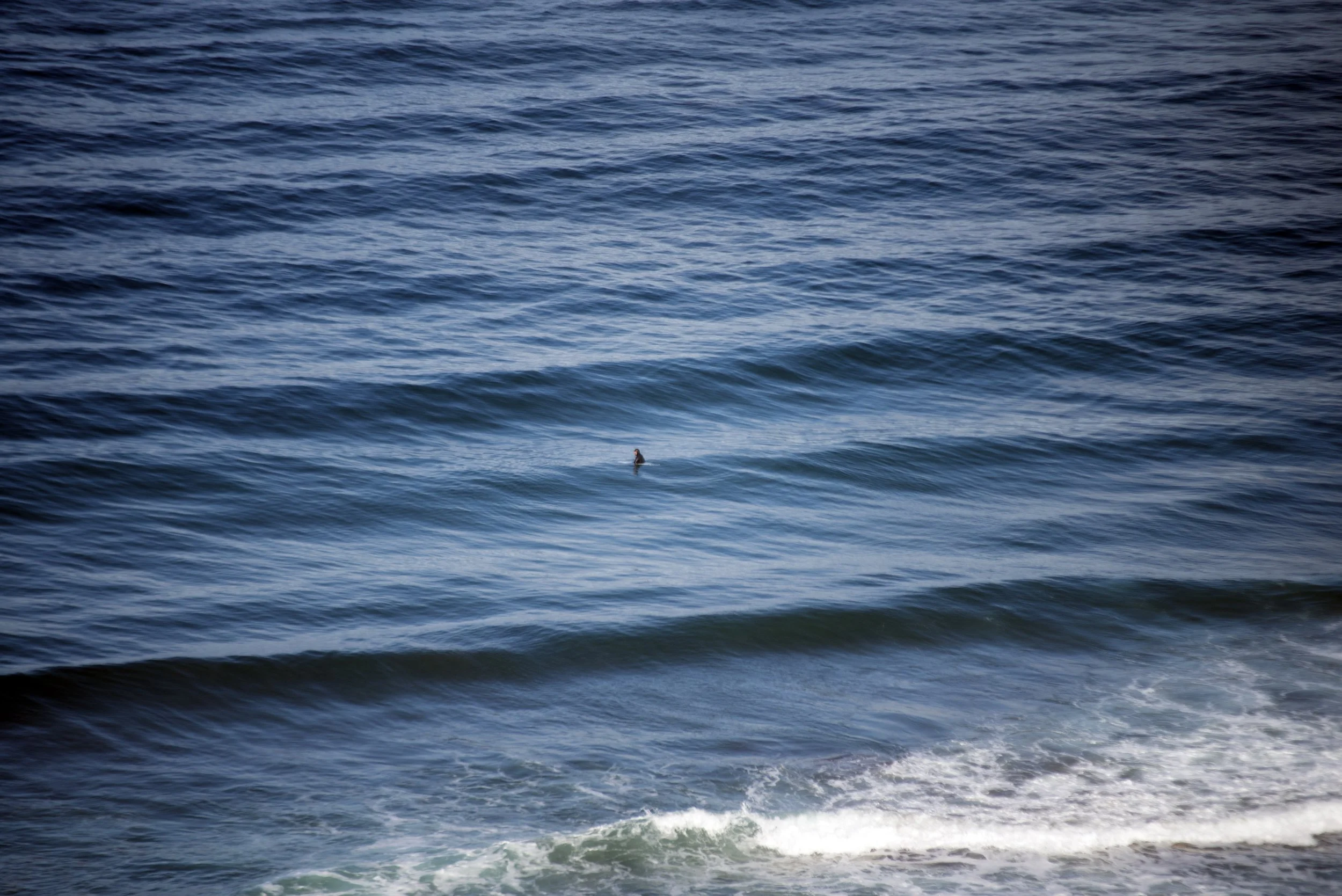 DSC_2321.jpg