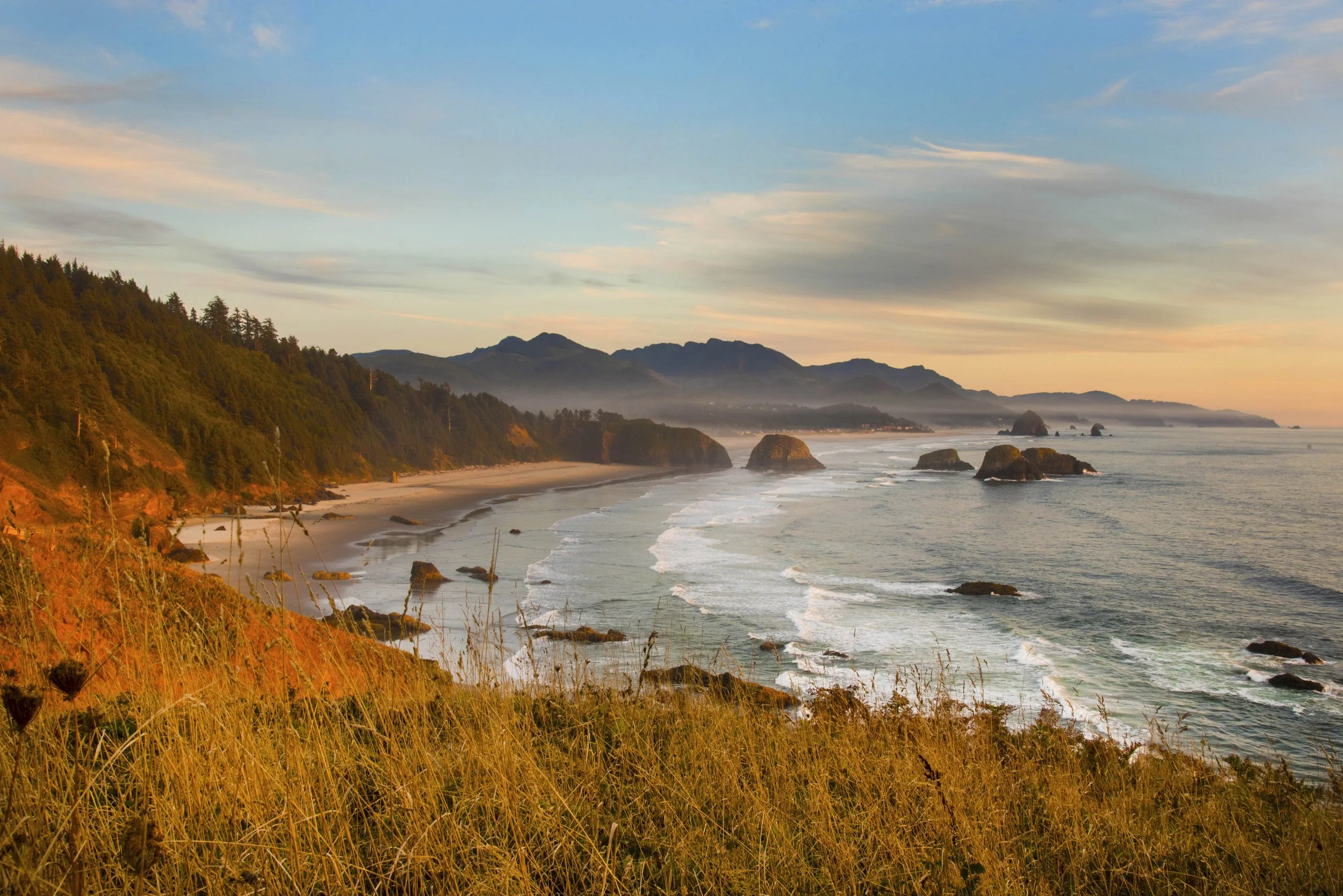 ECOLA STATE PARK 8 - OR copy 3.jpg