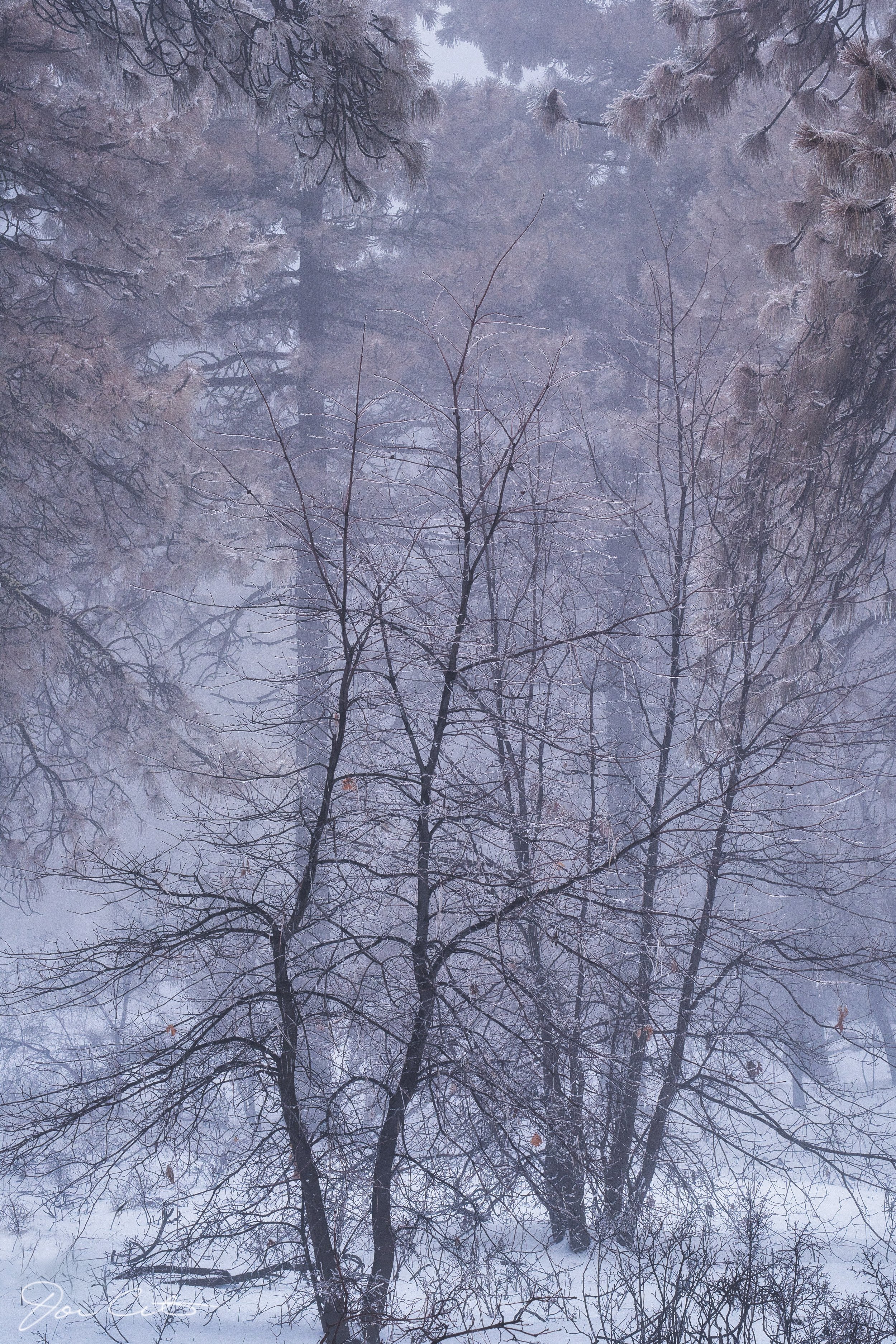 DSCF5192_GEN 2W.jpeg