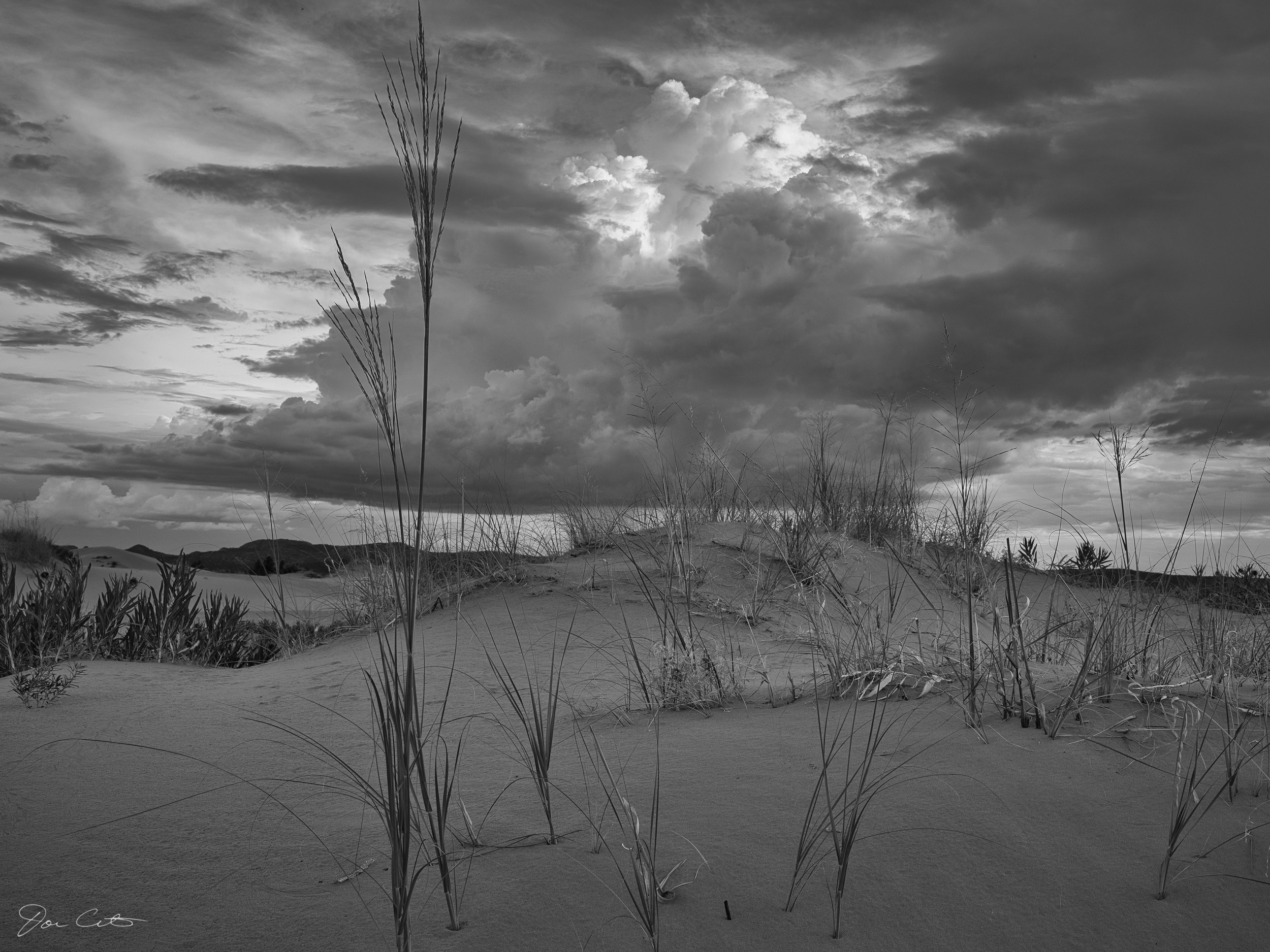 DSCF1037W.jpeg