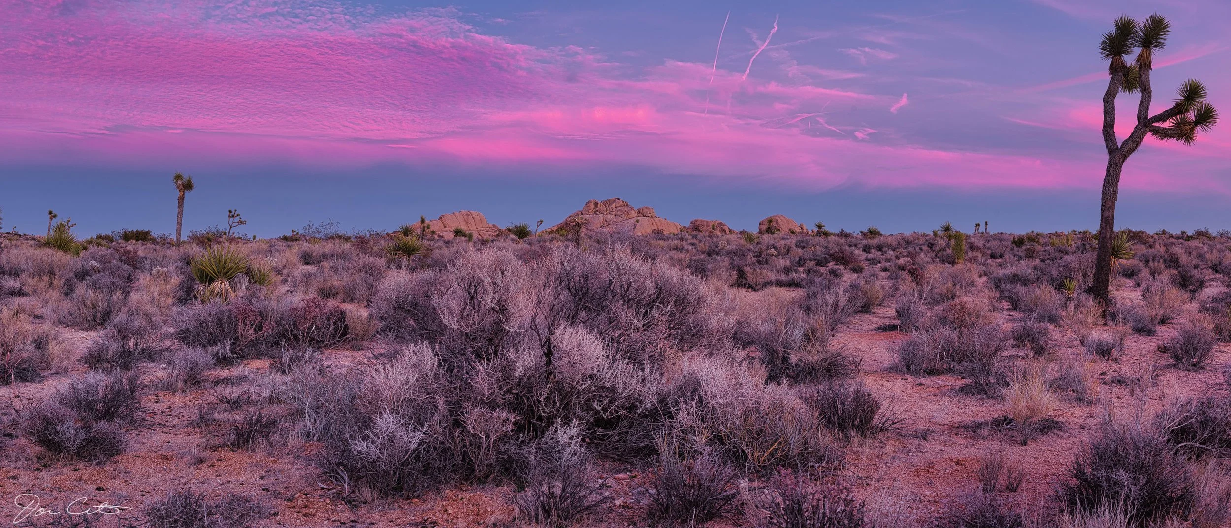 DSCF7122_PANORAMA 2W.jpeg