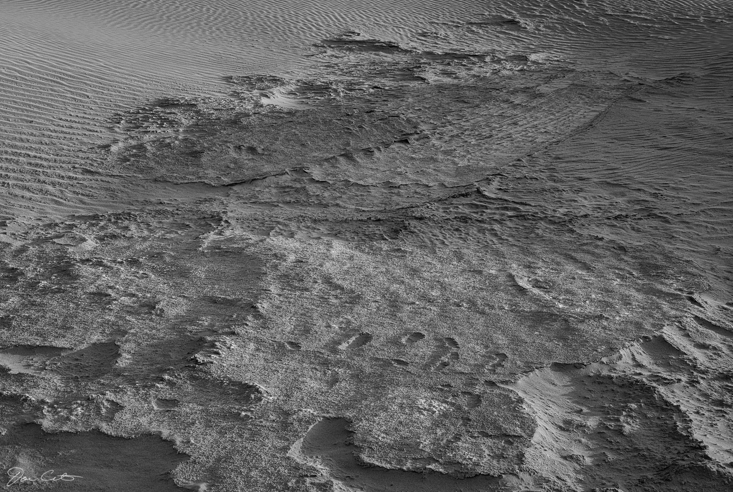 DSCF0281W.jpeg