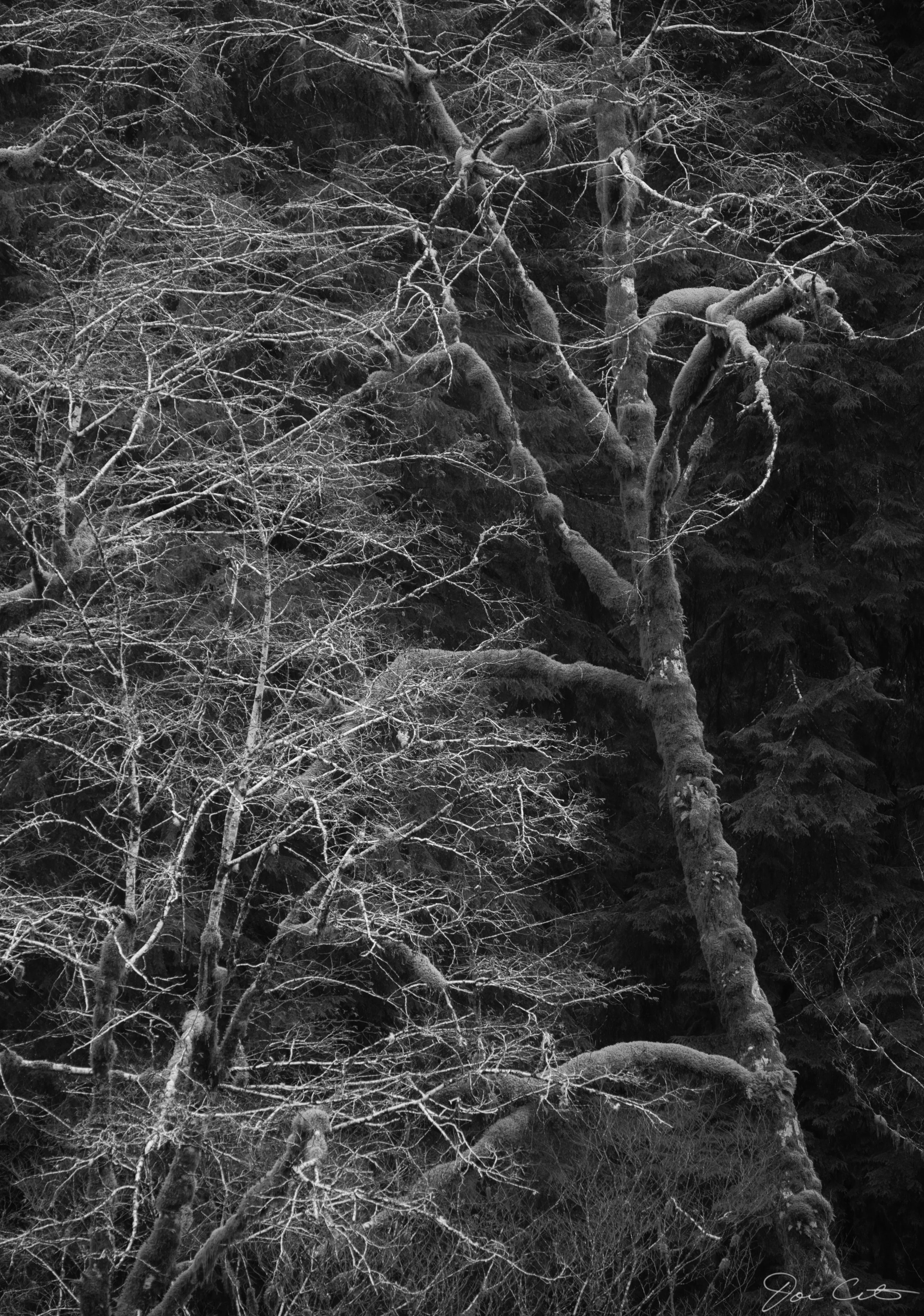 DSCF0566W.jpeg