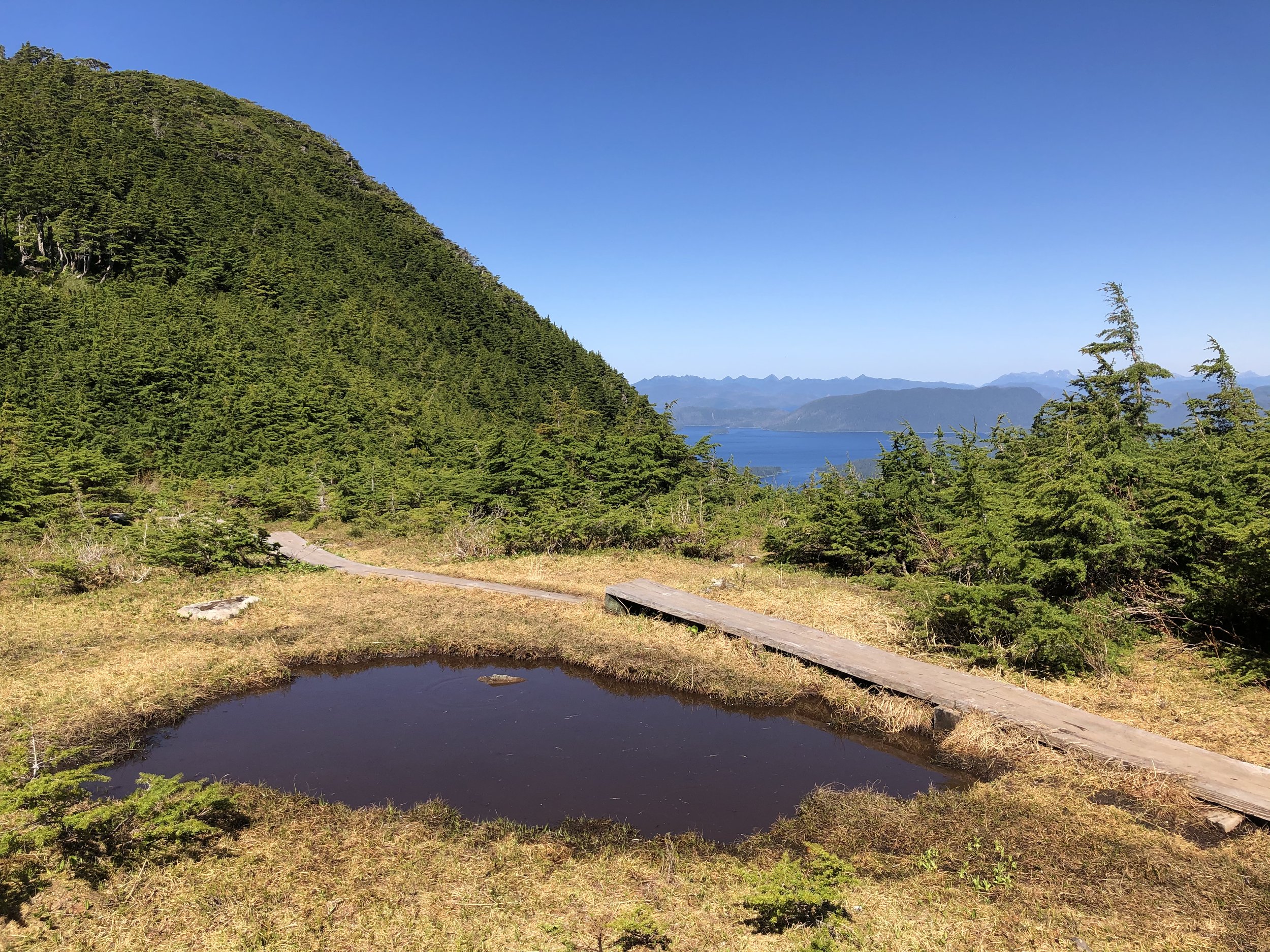 A hiking boardwalk in the sub-alpine with a small pond in the foreground and ocean and mountains off in the distance.