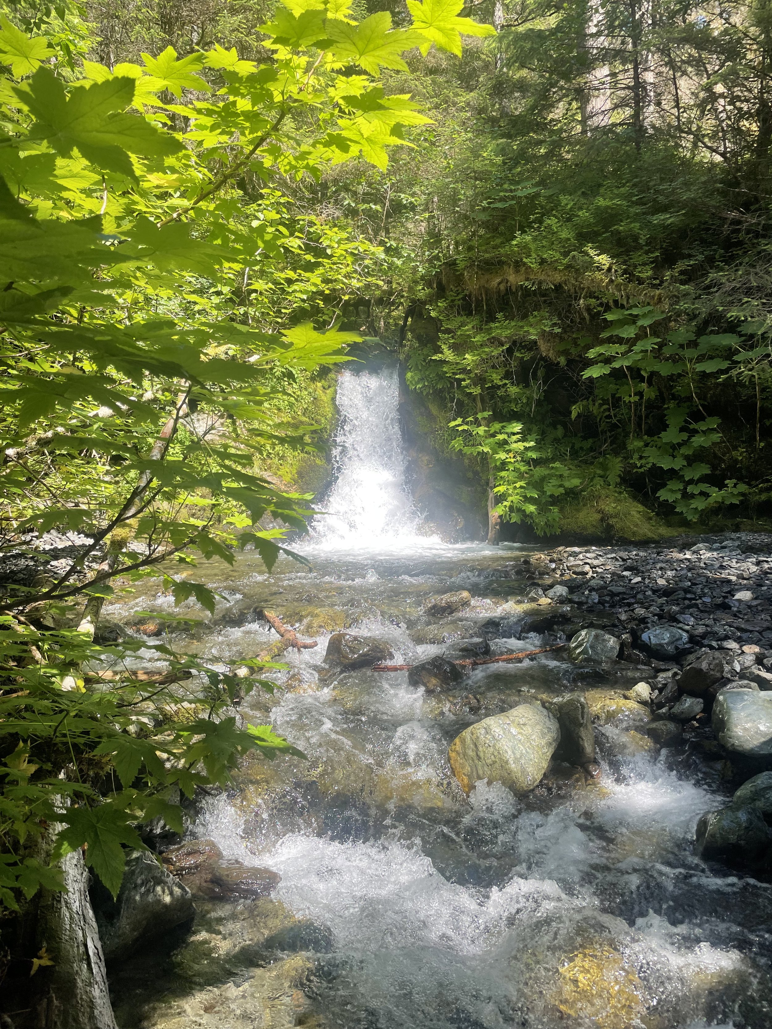 A waterfall in the forest surrounded by greenery.