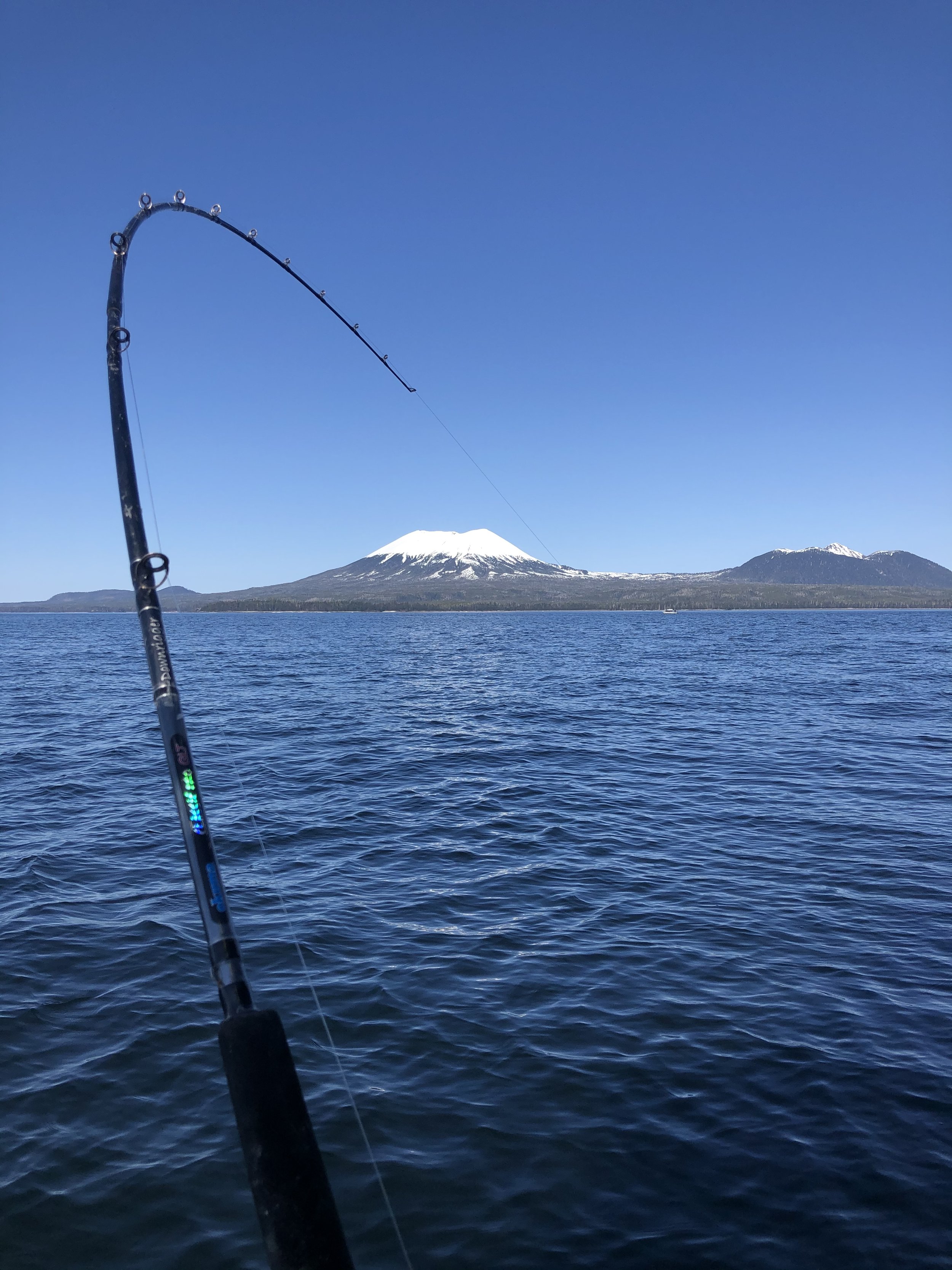 Fishing pole arching with a catch on a blue sky day on the ocean with snow capped volcano, Mt. Edgecumbe in the distance.