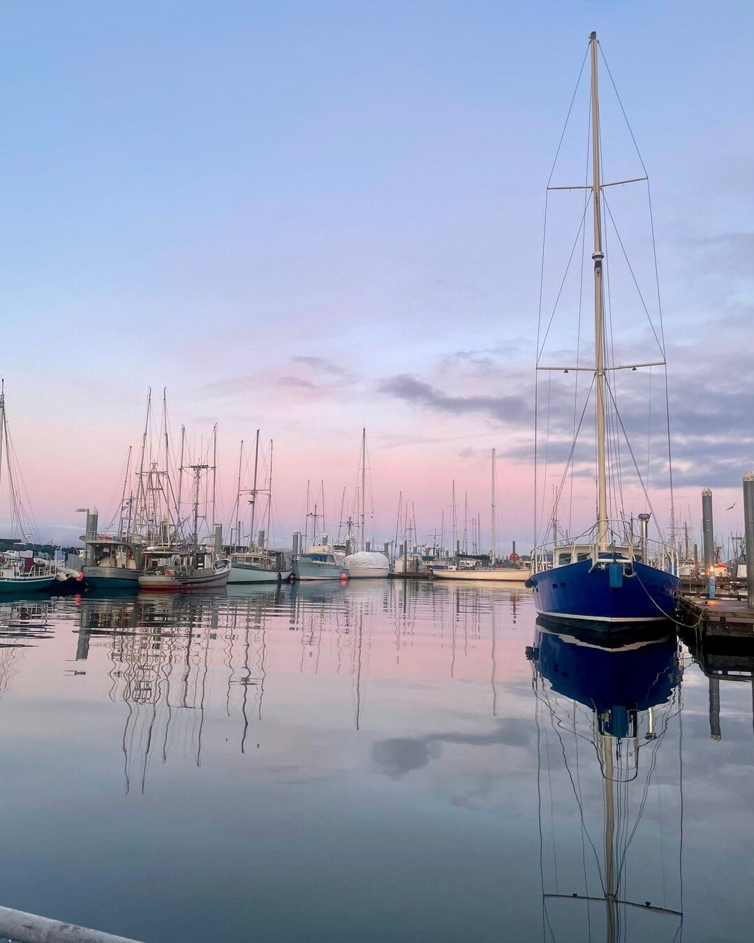 Even the views from within the harbor are some of the best. These pink and lavender sky sunrises are a favorite and this blue sail boat off our aft deck is a frequent subject matter of my photos. You'll see it again soon. 

#visitsitka
#sitkaalaska
#