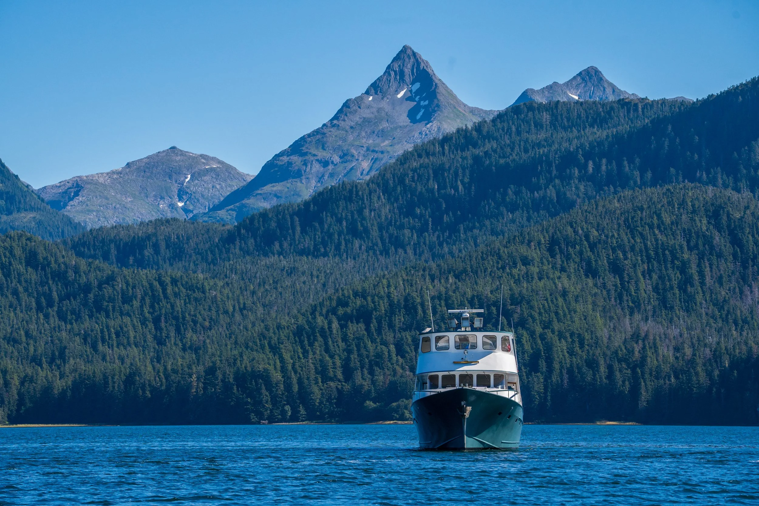 Bow View Mountains BG.jpg