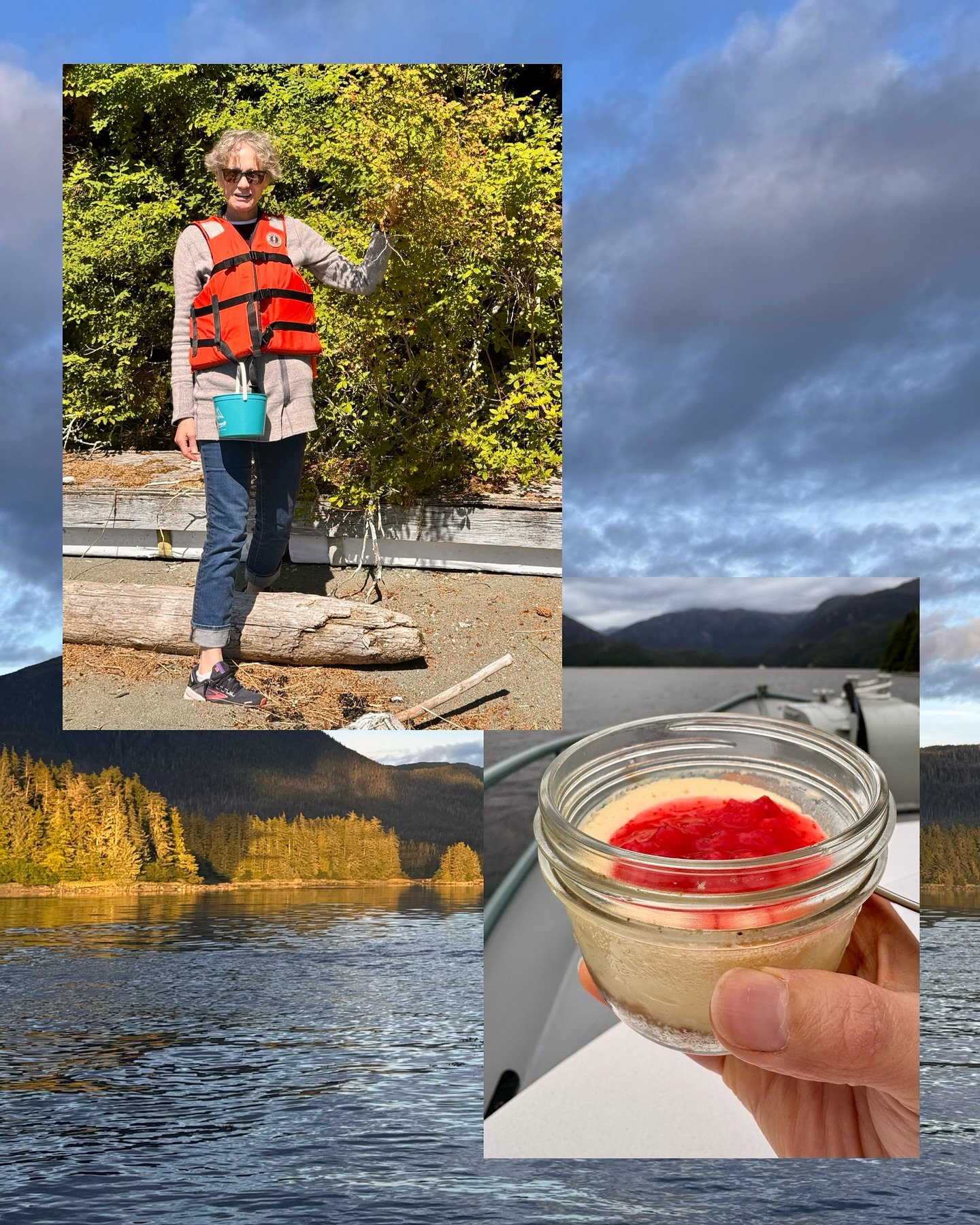 It&rsquo;s berry season in Southeast Alaska. Gloria picked red huckle berries. I was glad to create a fresh berry compote to serve atop my Mason jar cheesecakes. The color of that straight huckle berry compote is striking and the tartness paired nice