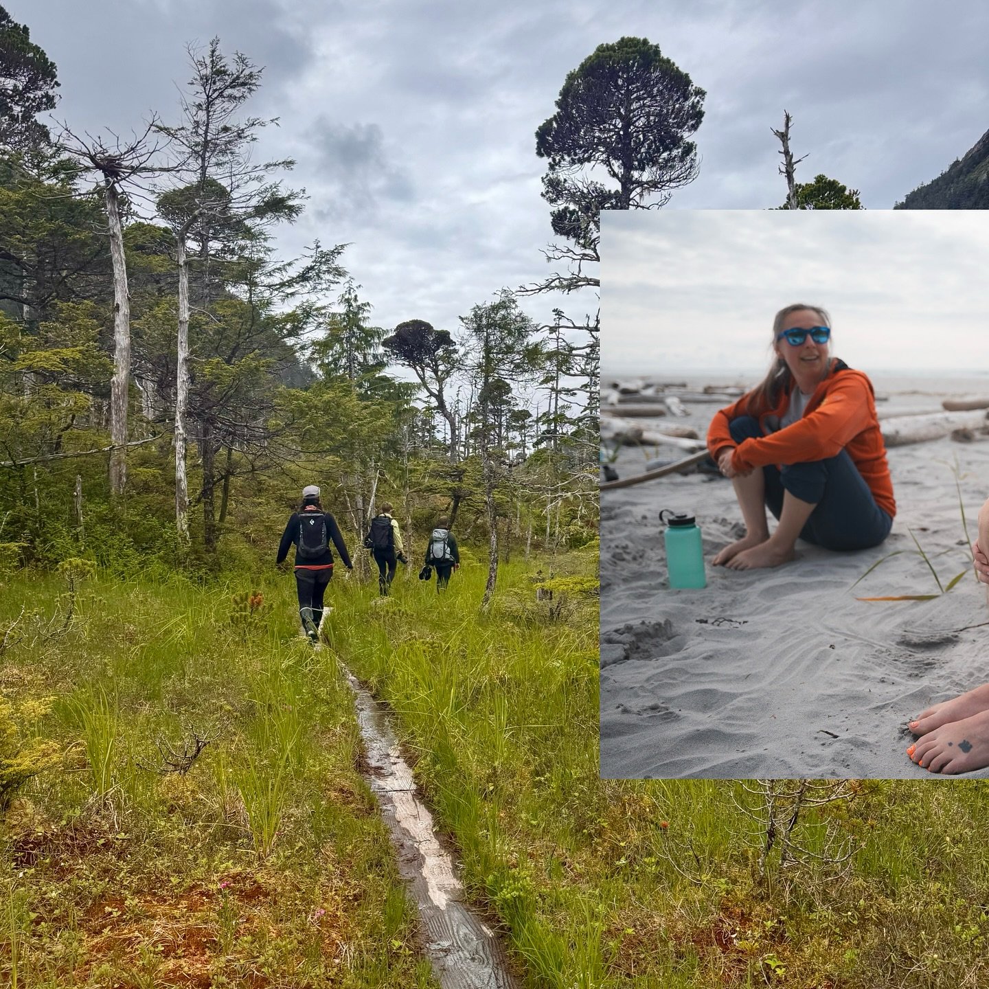 Our final day of adventure with @eatinwild and @carly_on_the_kenai was spent on a gorgeous 2.5 mile hike up a local estuary, through the forest, and to a lovely white sand beach for a camp fire and picnic lunch.

#abccoastalexcursions #southeastalask