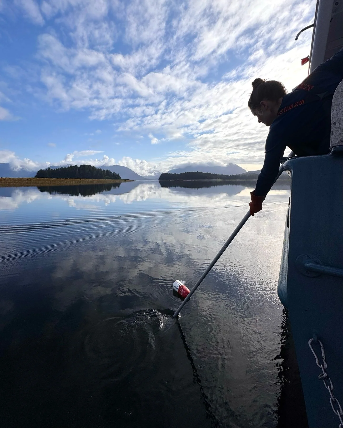 Days 4, 5, and the first half of 6 of our Petersburg to Sitka excursion with @carly_on_the_kenai and @eatinwild were spent hauling our shrimp gear, crabbing for Dungeness crab, and fishing for king salmon, yellow eye, lingcod, and rock fish. 

These 