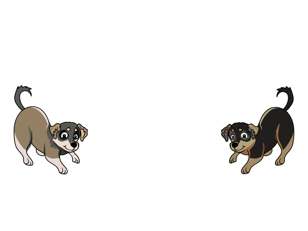 Two Pups Photography