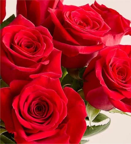 Fetcha Flowa