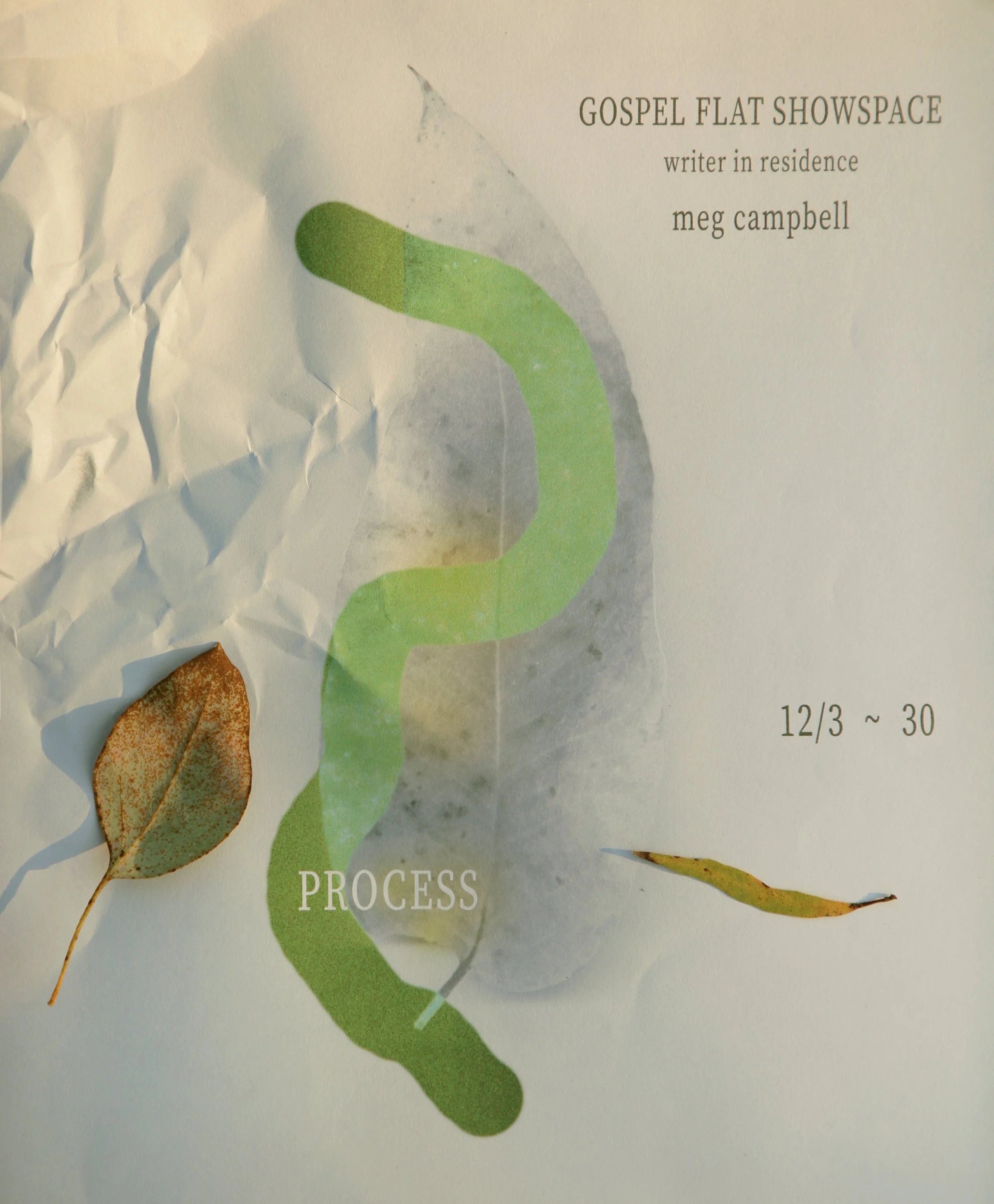 12_2025_Meg_Campbell_Process_ Poster_.jpg