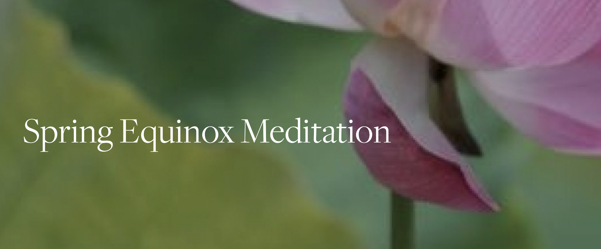 Spring Equinox Meditation Gathering