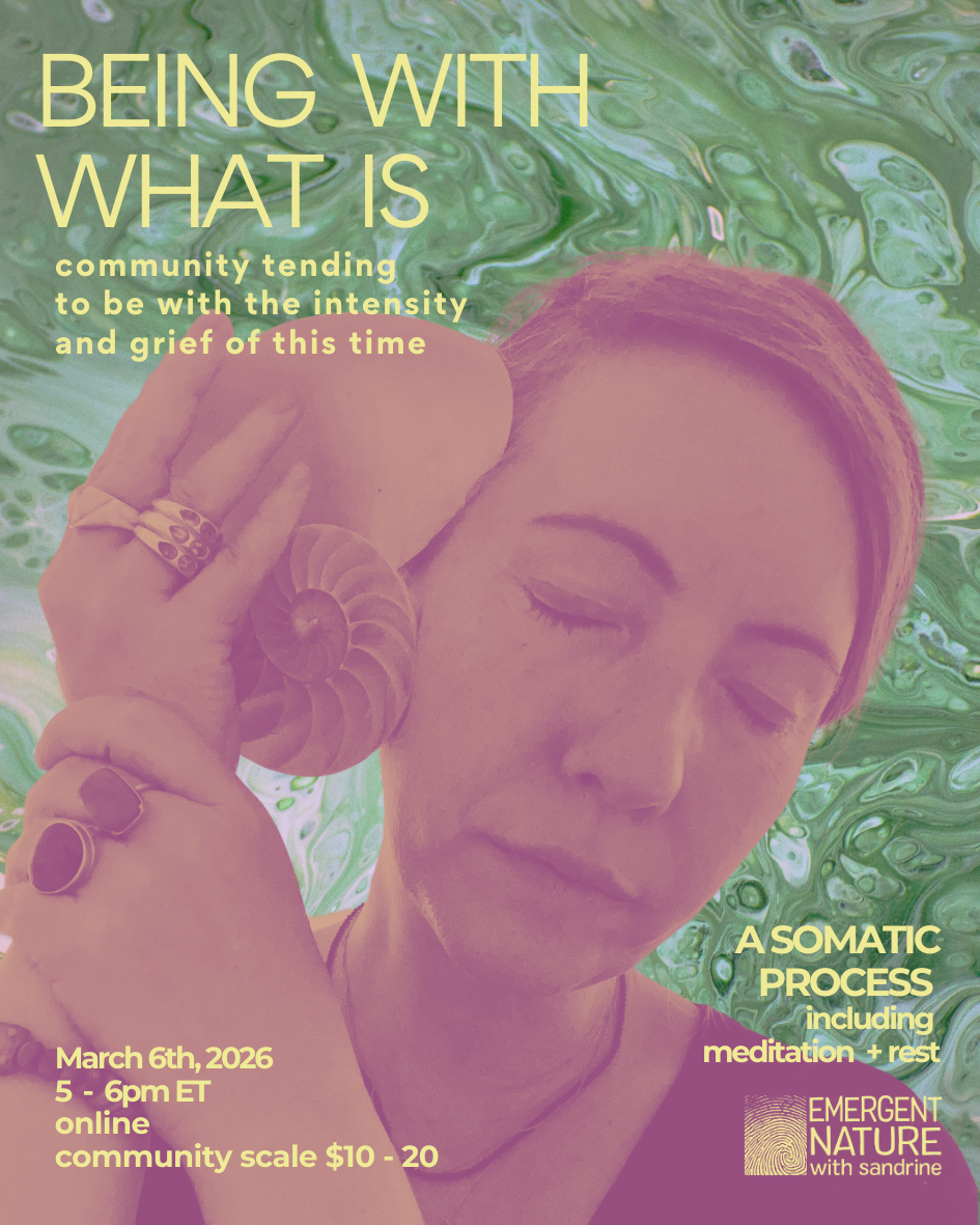 Being With What Is - online community tending