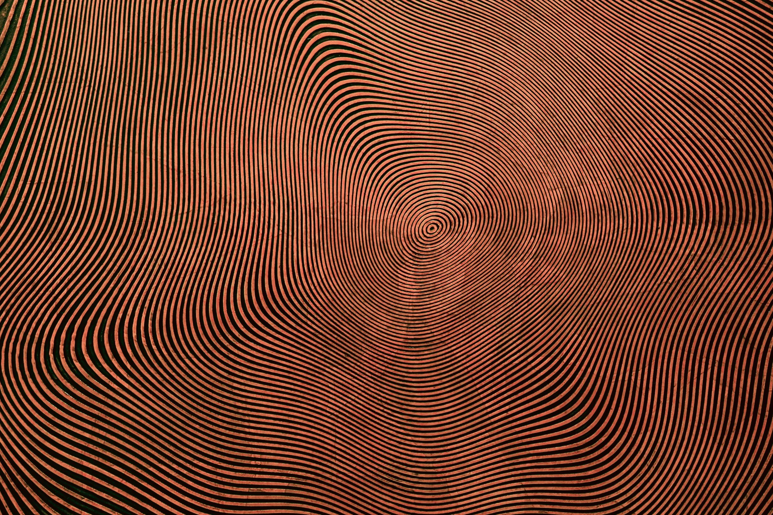 Embodying Boundaries