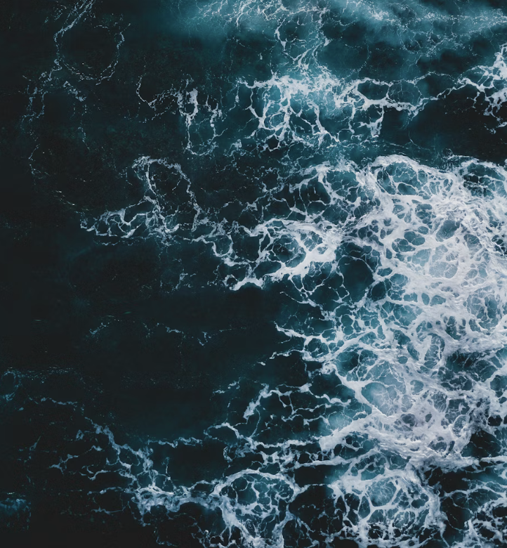 UNDERSTANDING &amp; HEALING TRAUMA - online retreat