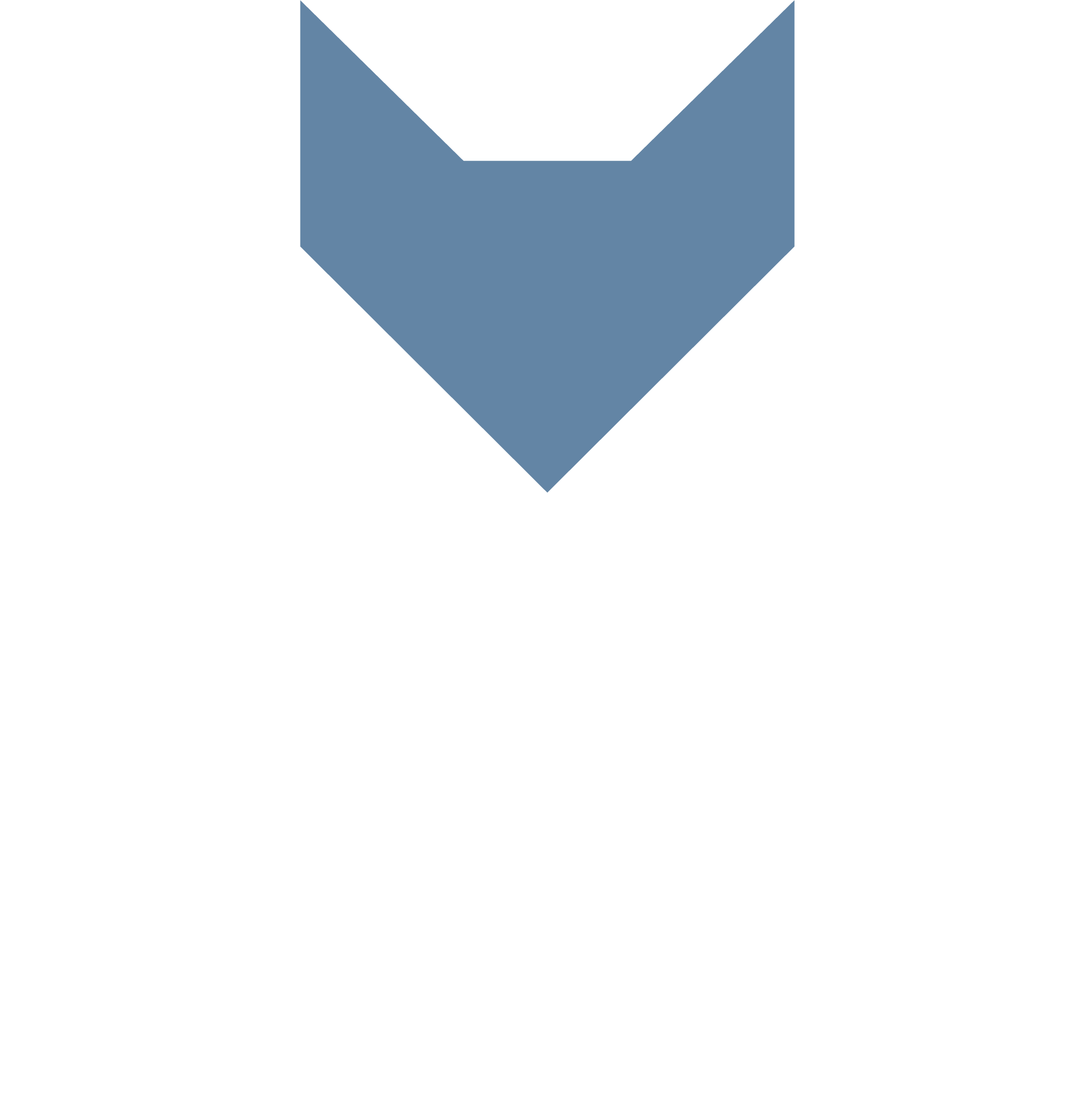 Team — SnoFox Sciences