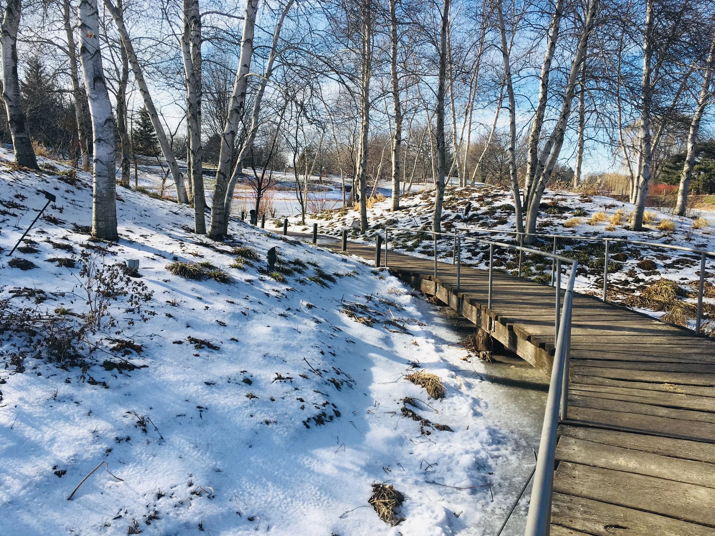 January 2027: A Morning of Retreat