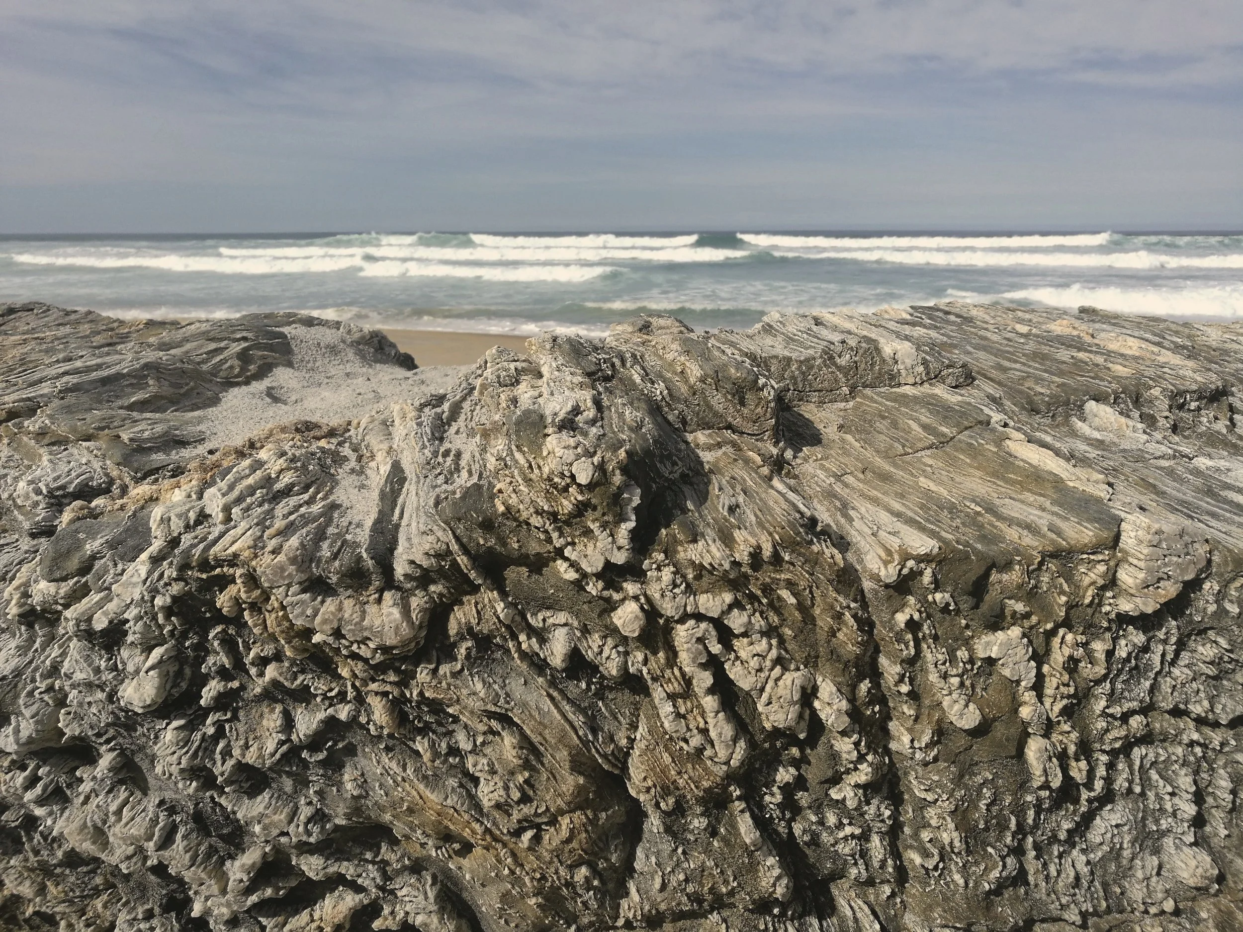 Kelly, Deb and Toni: ‘Don’t go down without a fight’