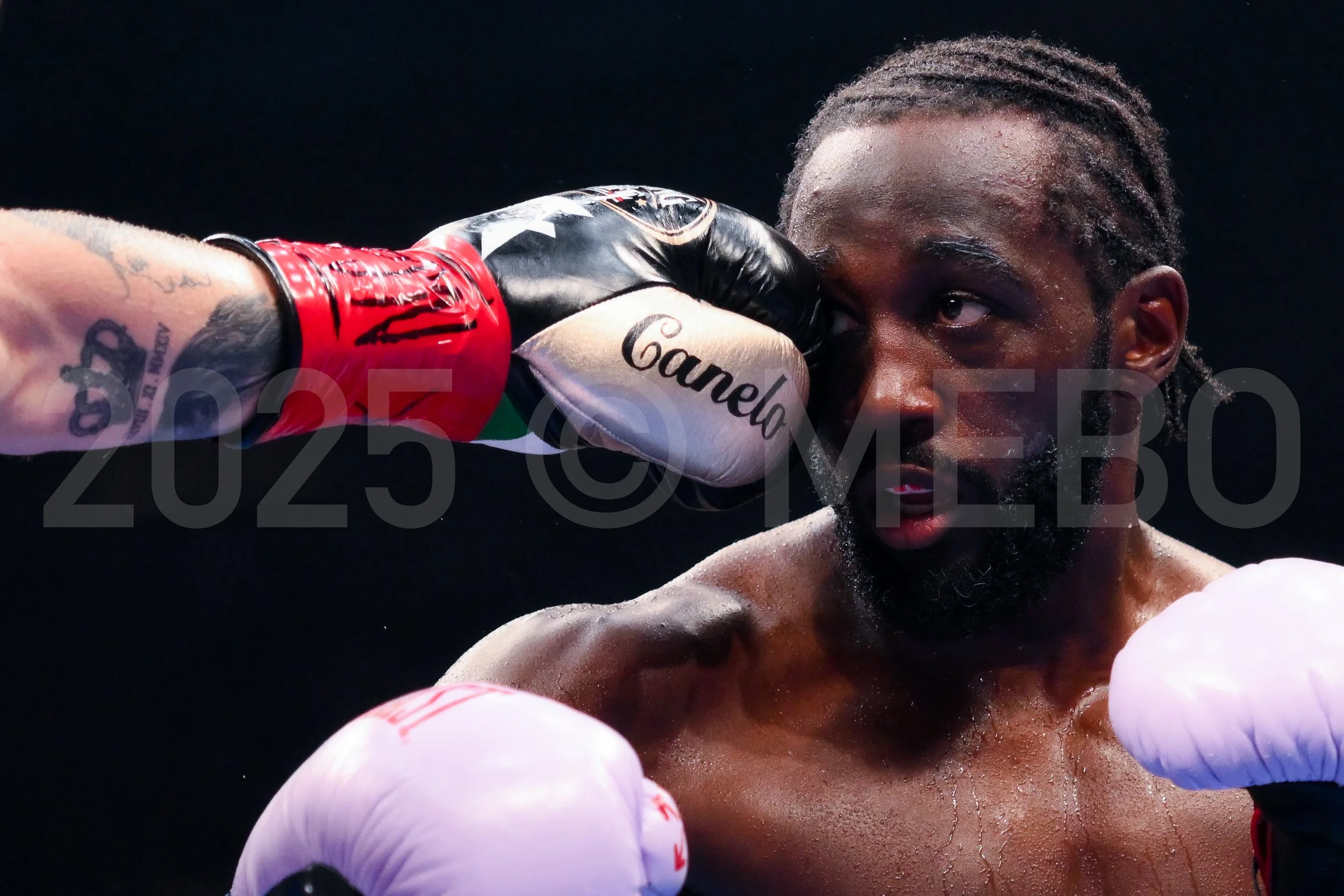 Unflinching — Fine Art Digital Print (24 × 36 in)