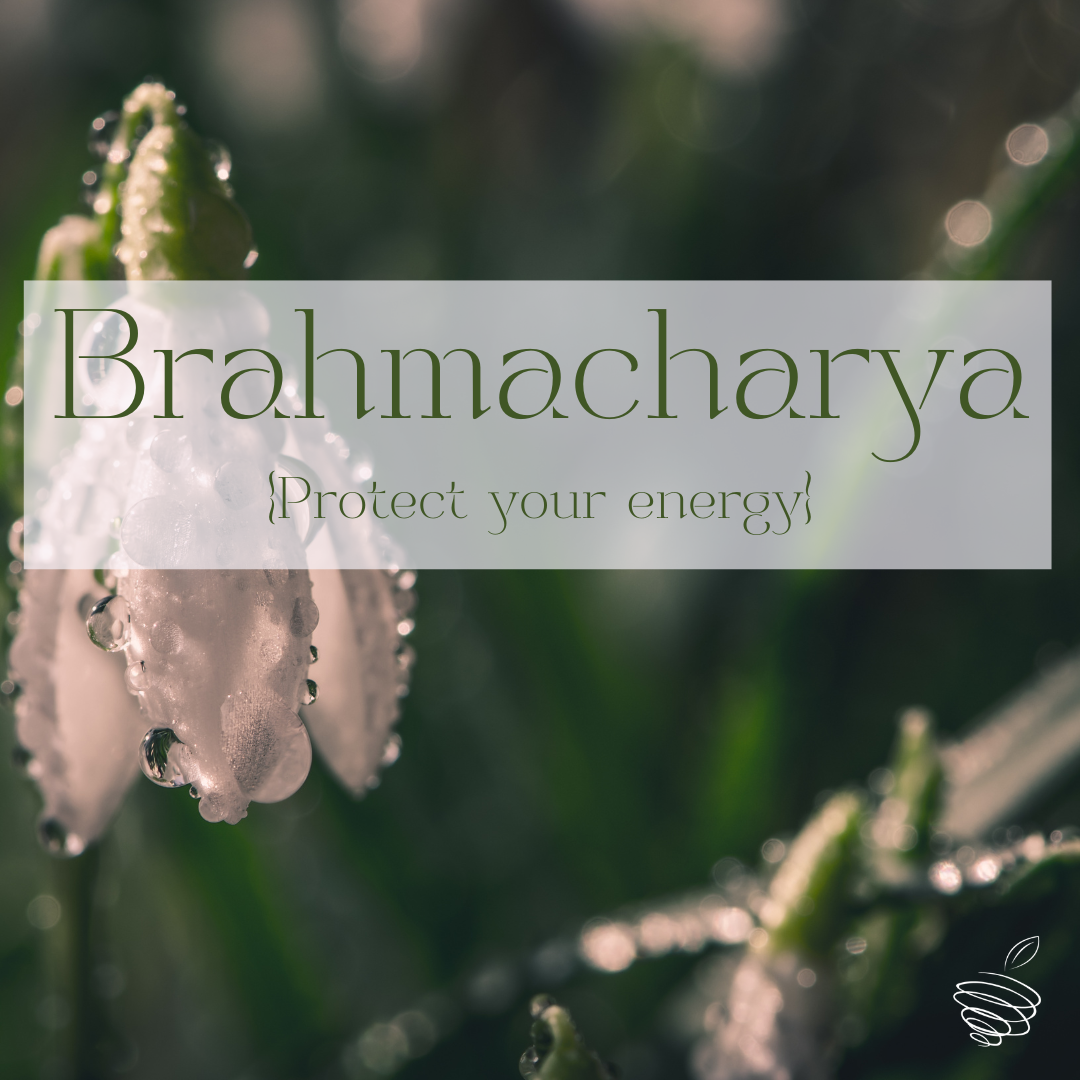 Protect Your Energy {Brahmacharya} 