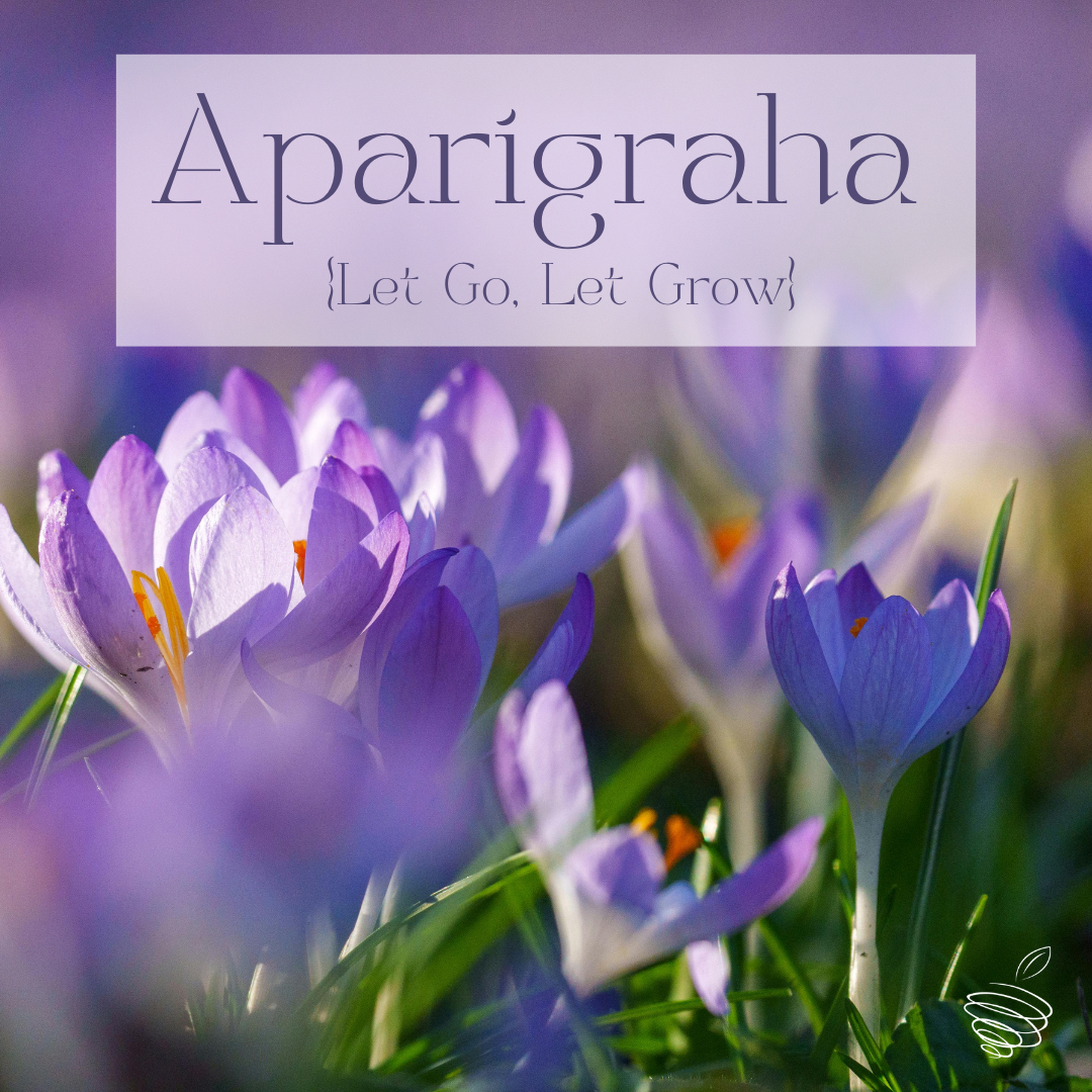 Let Go, Let Grow {Aparigraha} 